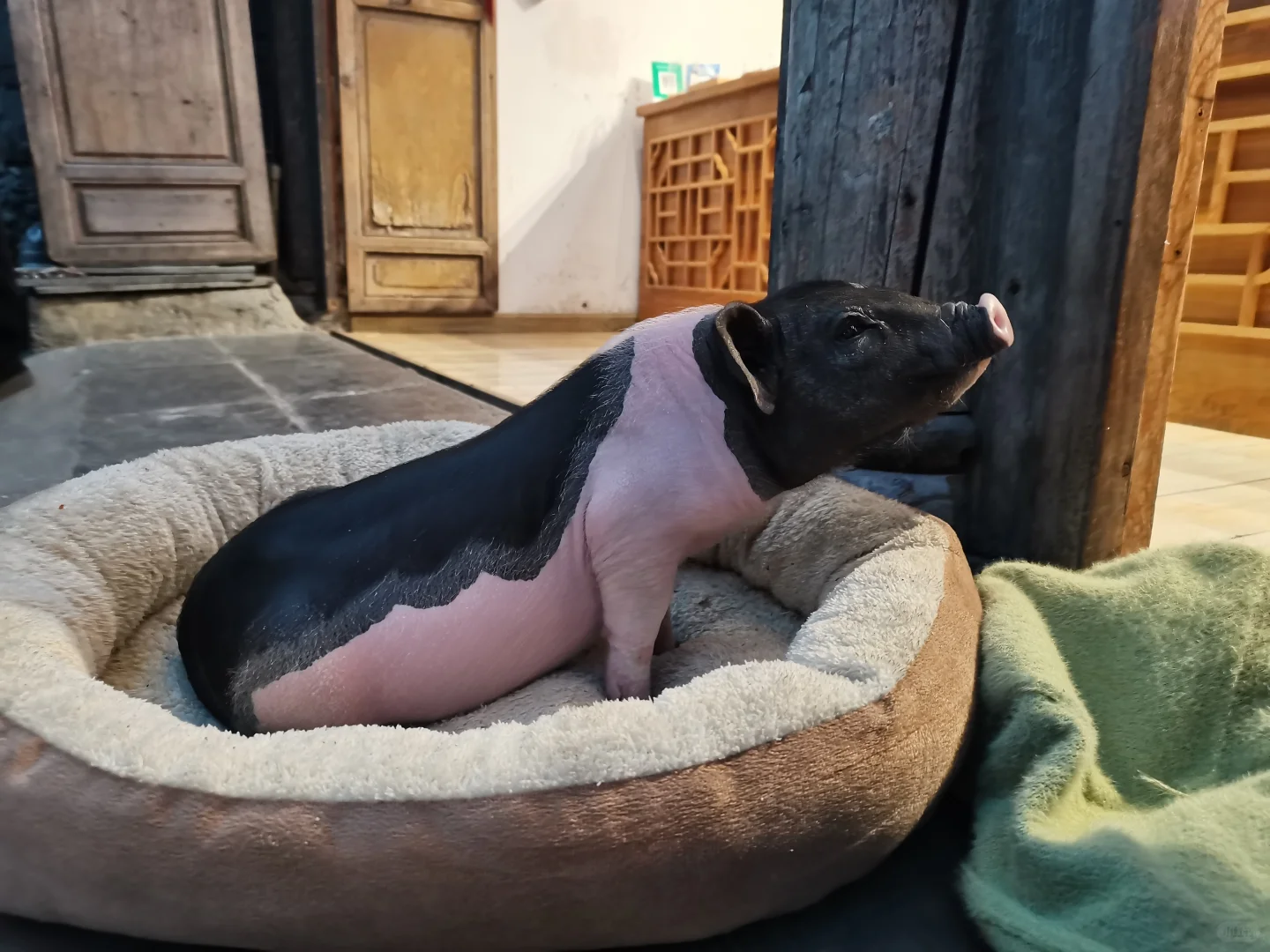 都江堰一日攻略，轻松玩转三大景点！