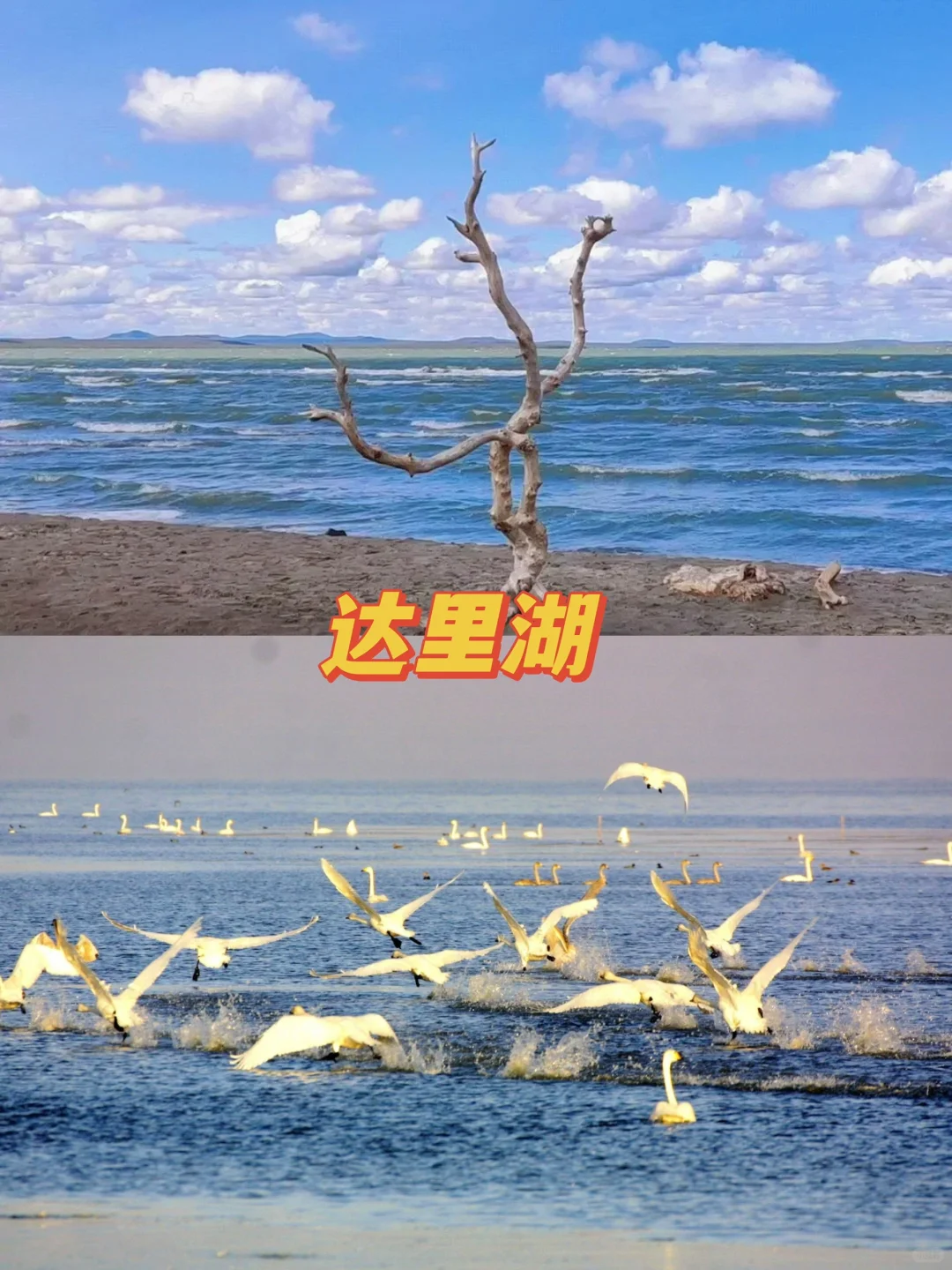 🌱五一去哪旅游❓来乌兰布统吧‼️