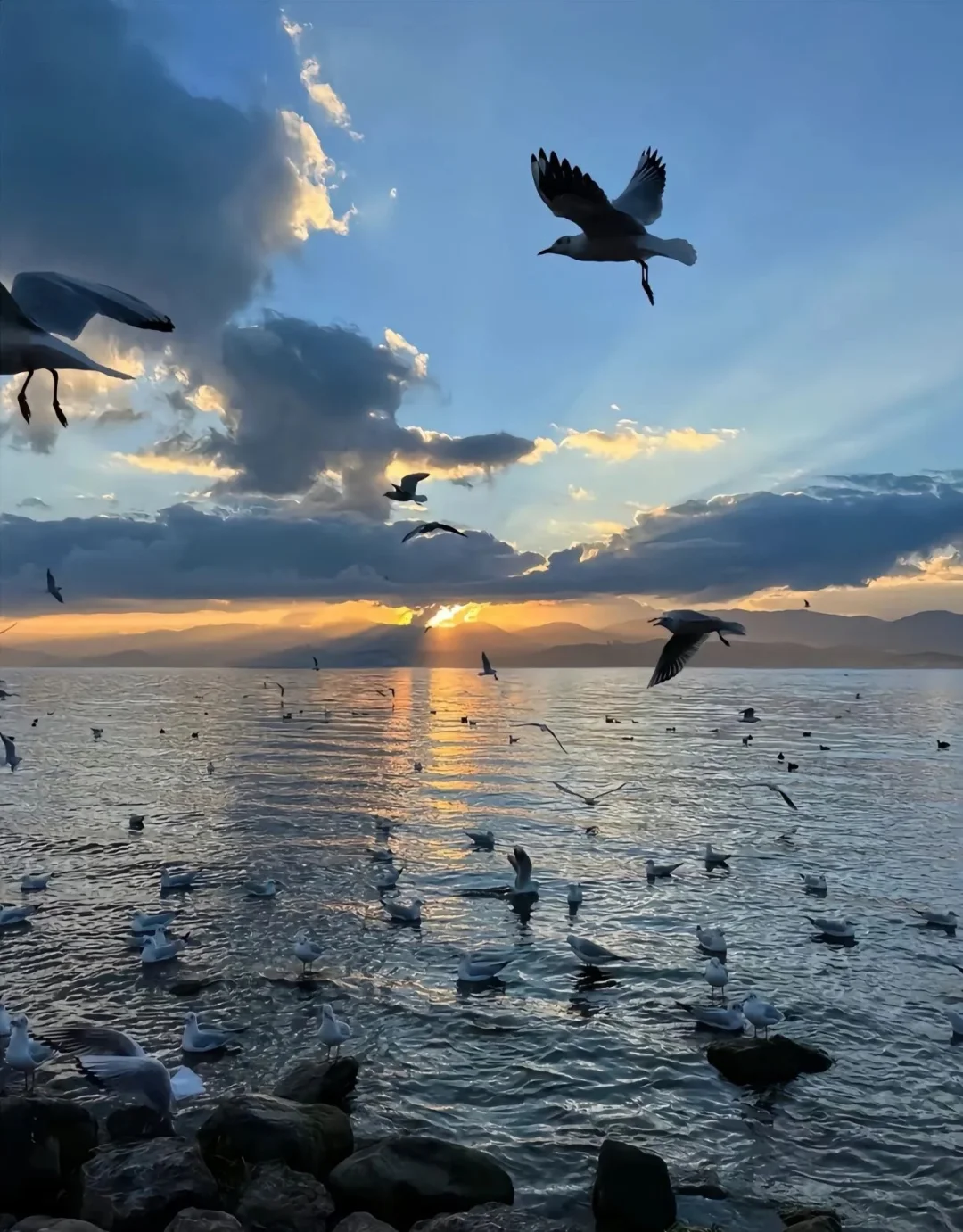 大理古城与洱海的浪漫之旅