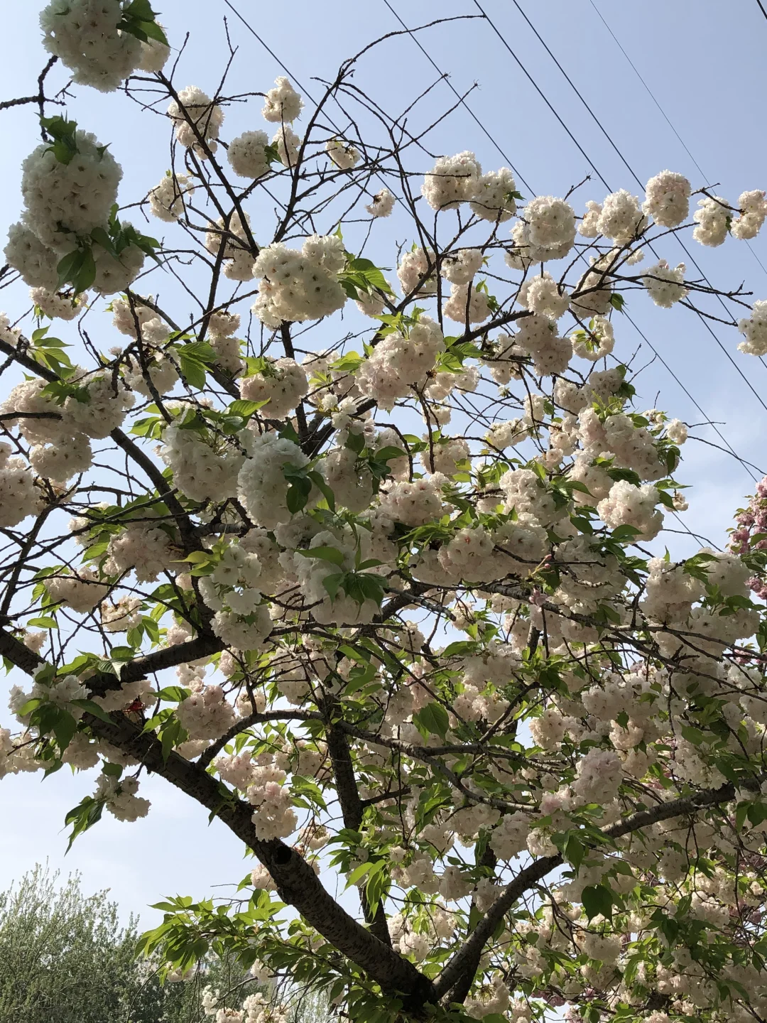 五一假期去石家庄📍保姆级攻略来啦