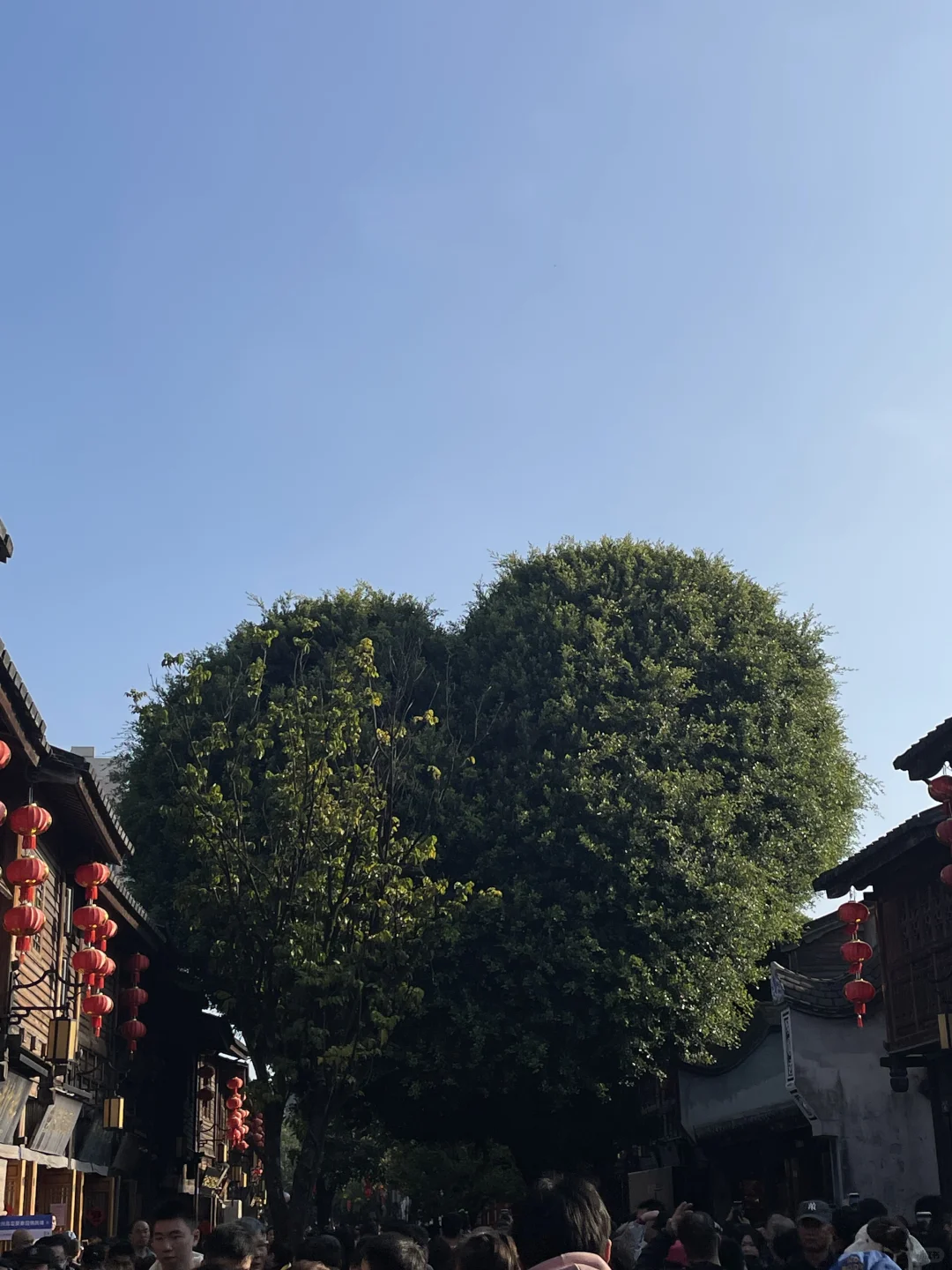 被严重低估的宝藏城市❗️福州隐藏玩法公开㊙️