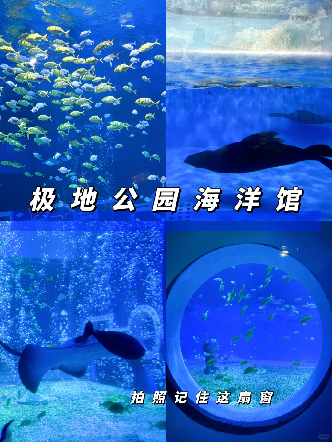 哈尔滨五一旅游✅3天2晚，看这篇就够了！