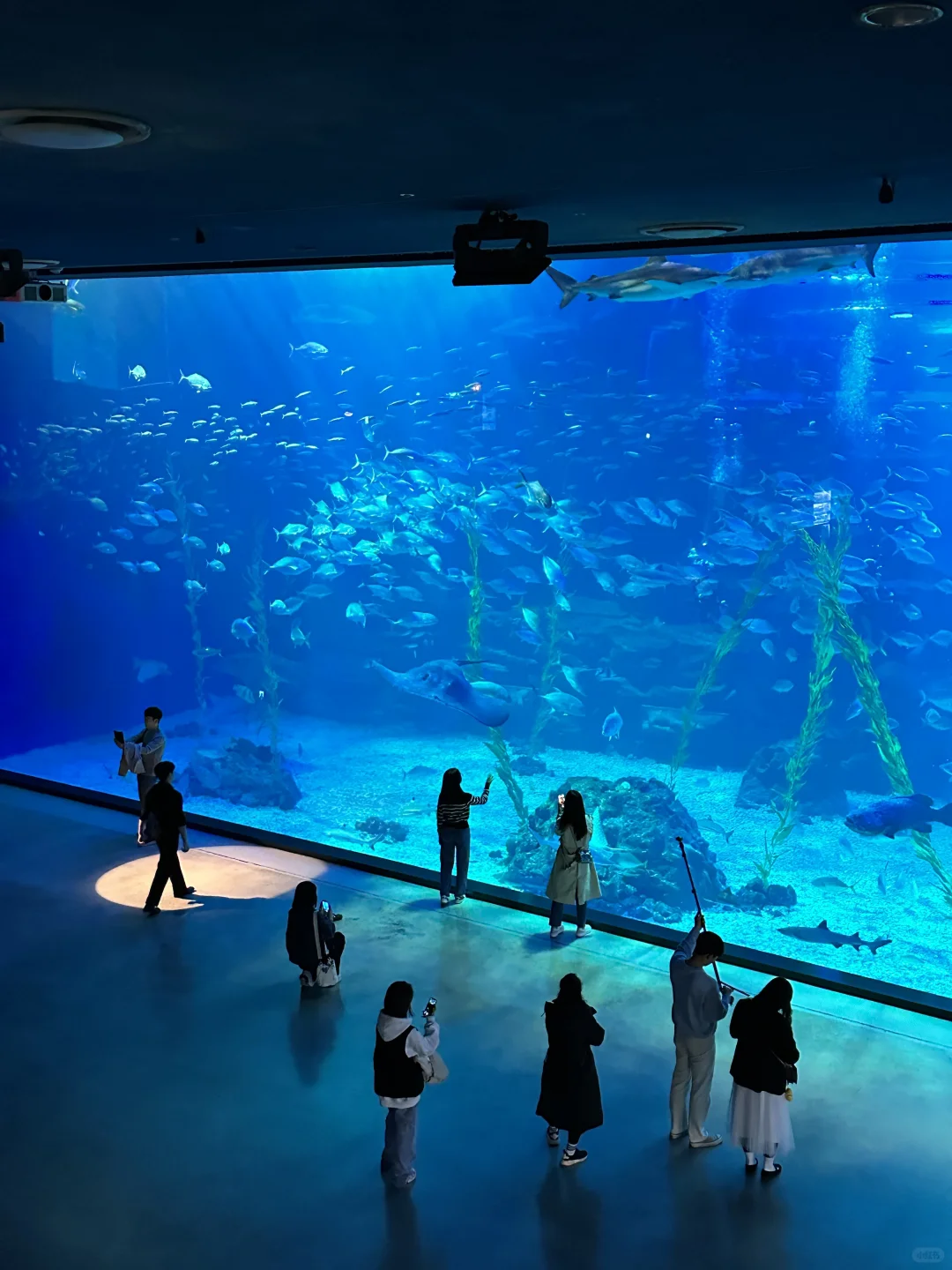 对自己的济州岛攻略满意到睡不着觉…