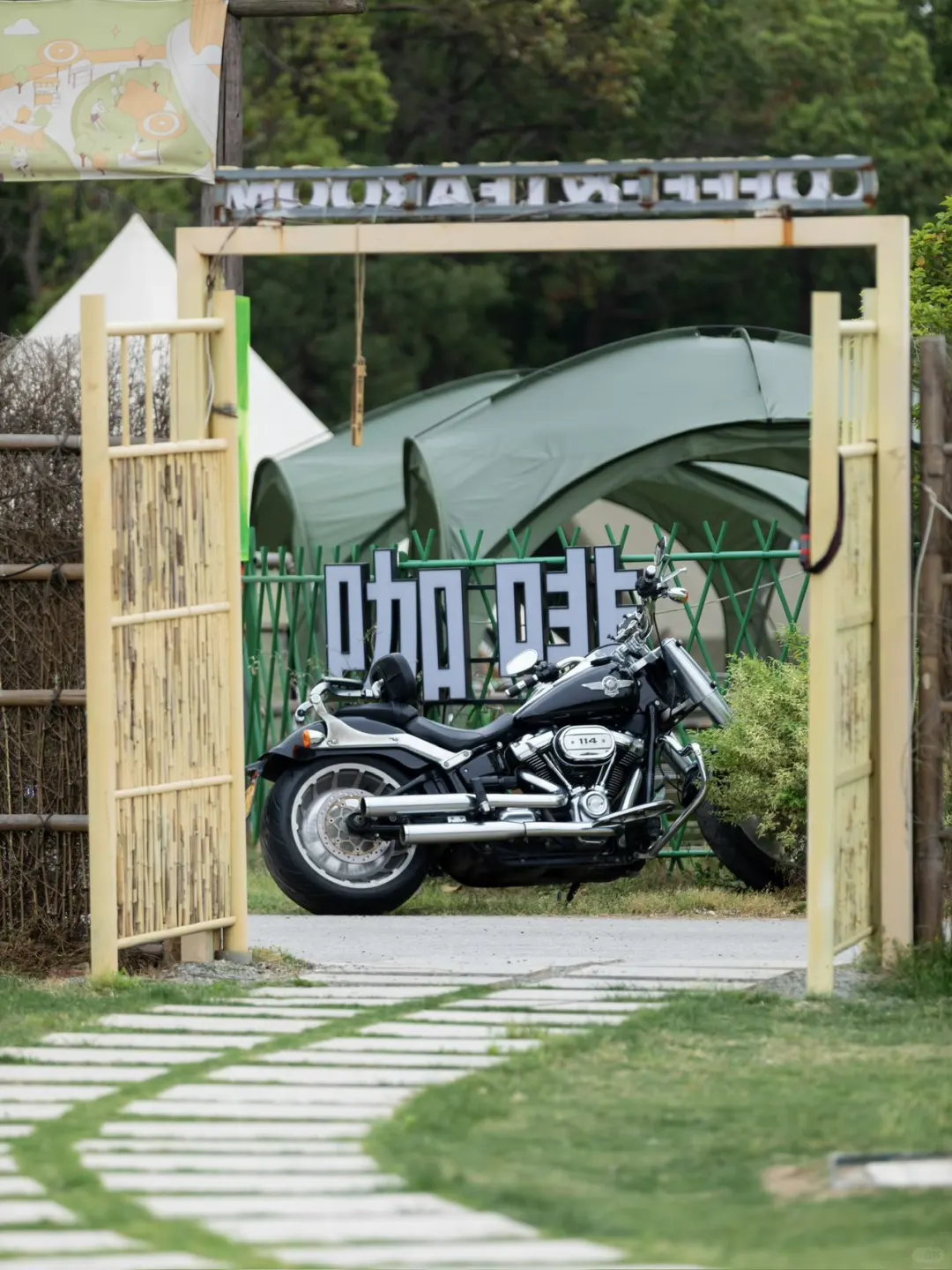 五一不想人挤人，来阳澄湖呼吸森林吧