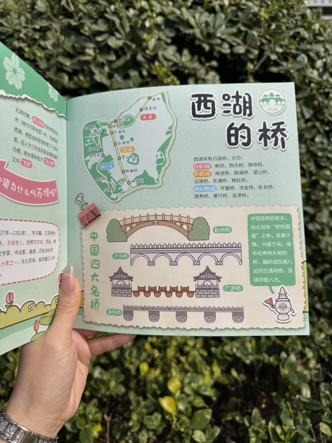 在西湖被追着问的研学手册，孩子太喜欢了❗️