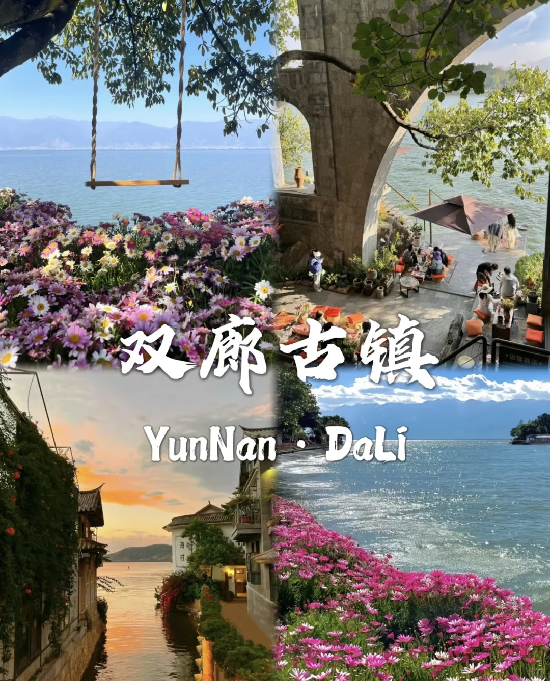 去过有风的地方大理洱海🌊