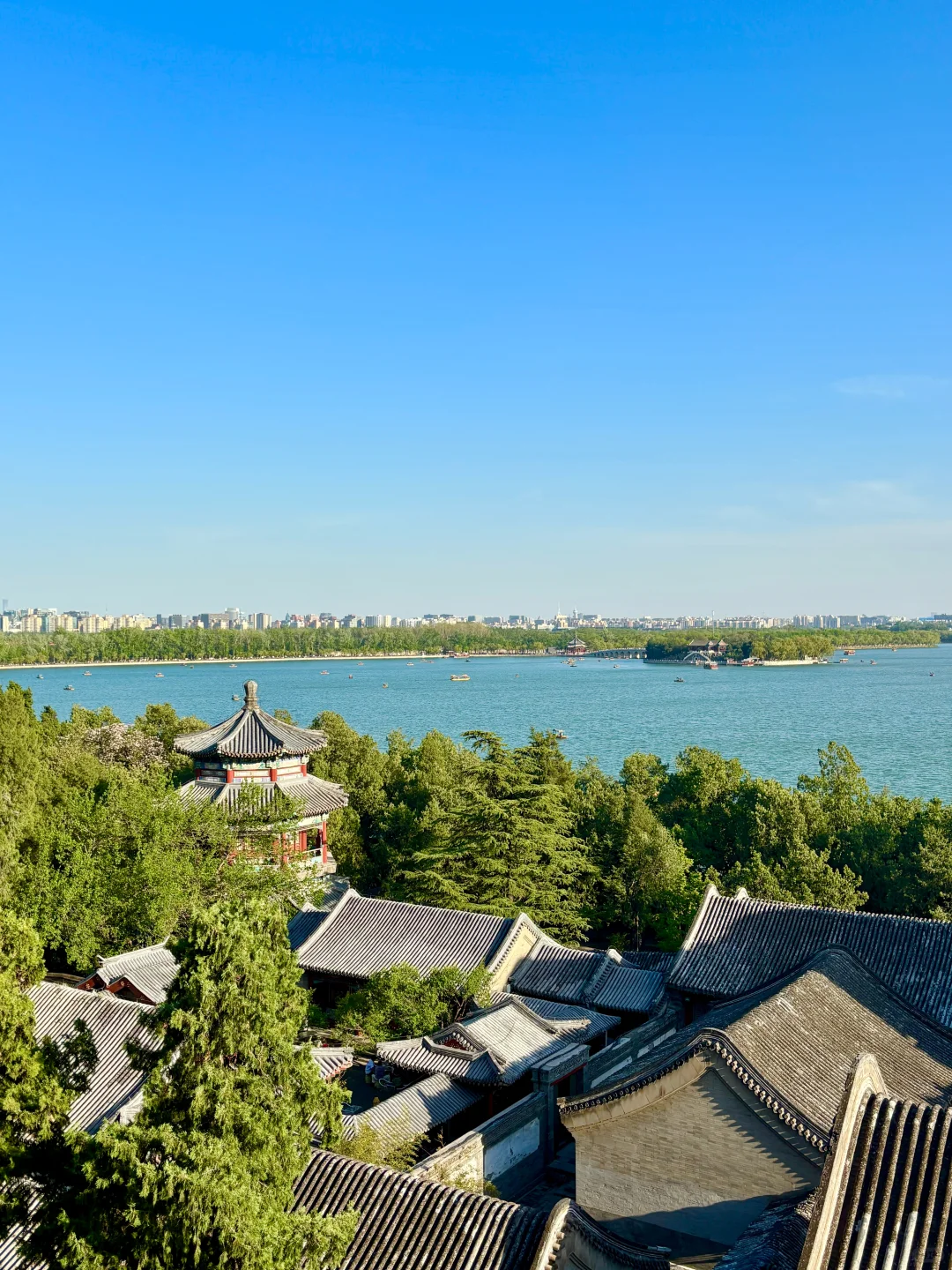 不敢贪便宜，给爷爷奶奶报到了靠谱北京团…