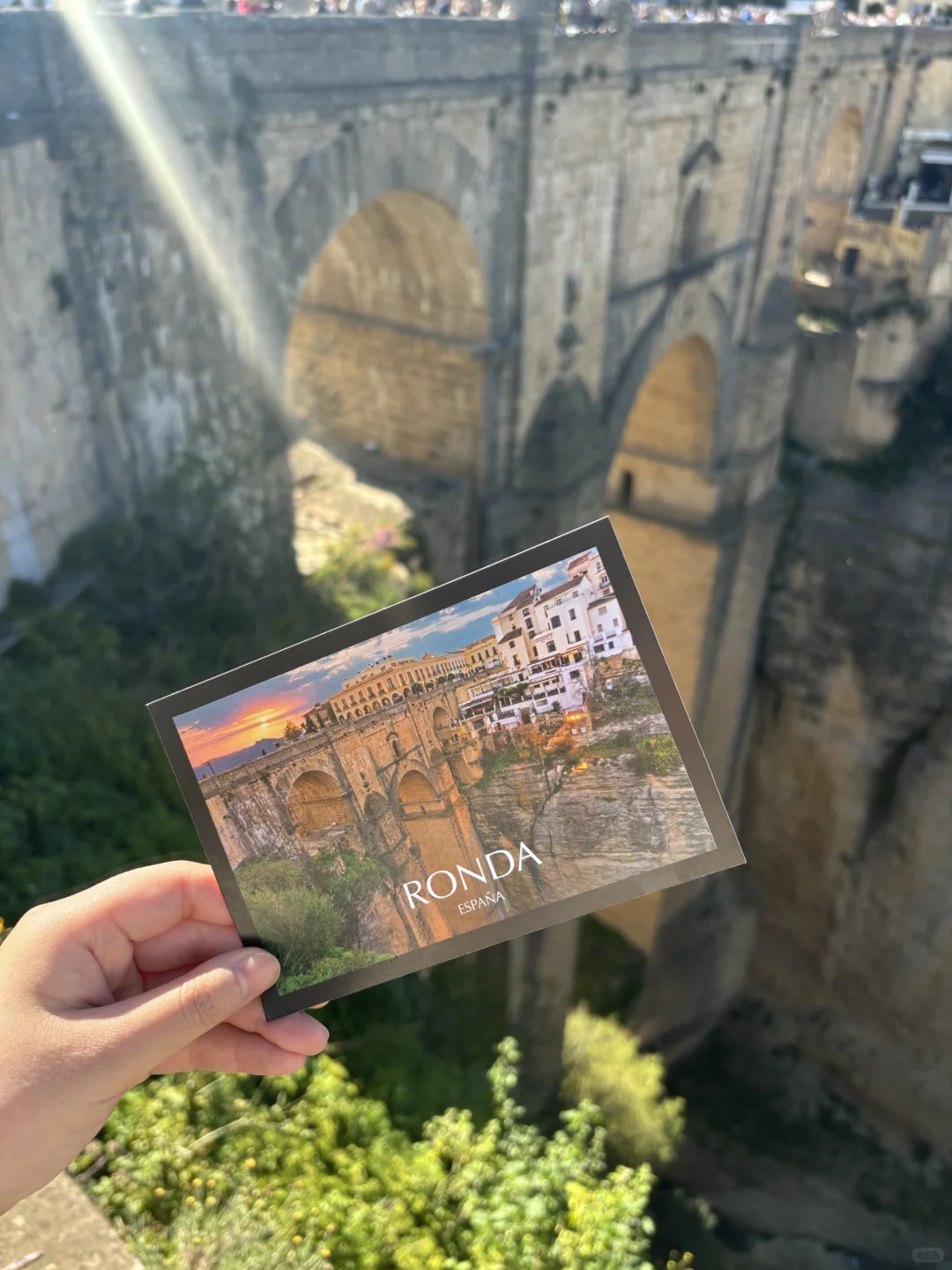 圣周历险记：当旅途按下暂停键