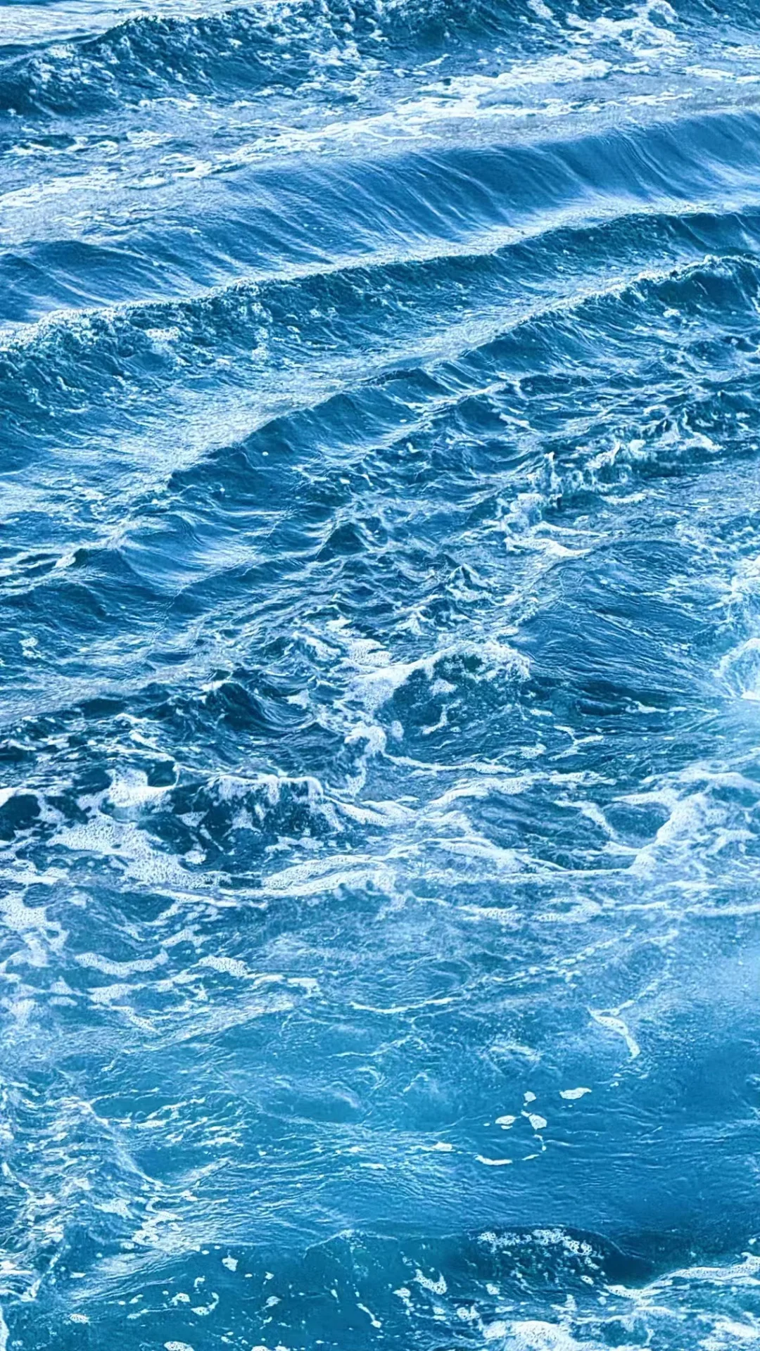 世界的首都🇹🇷