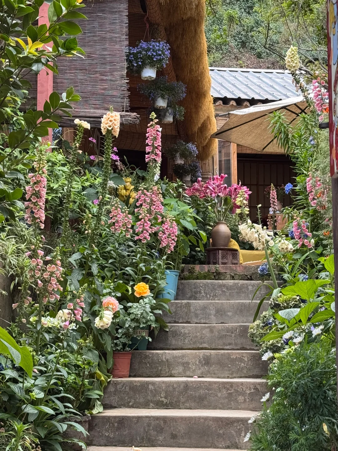 在凤阳邑的一下午