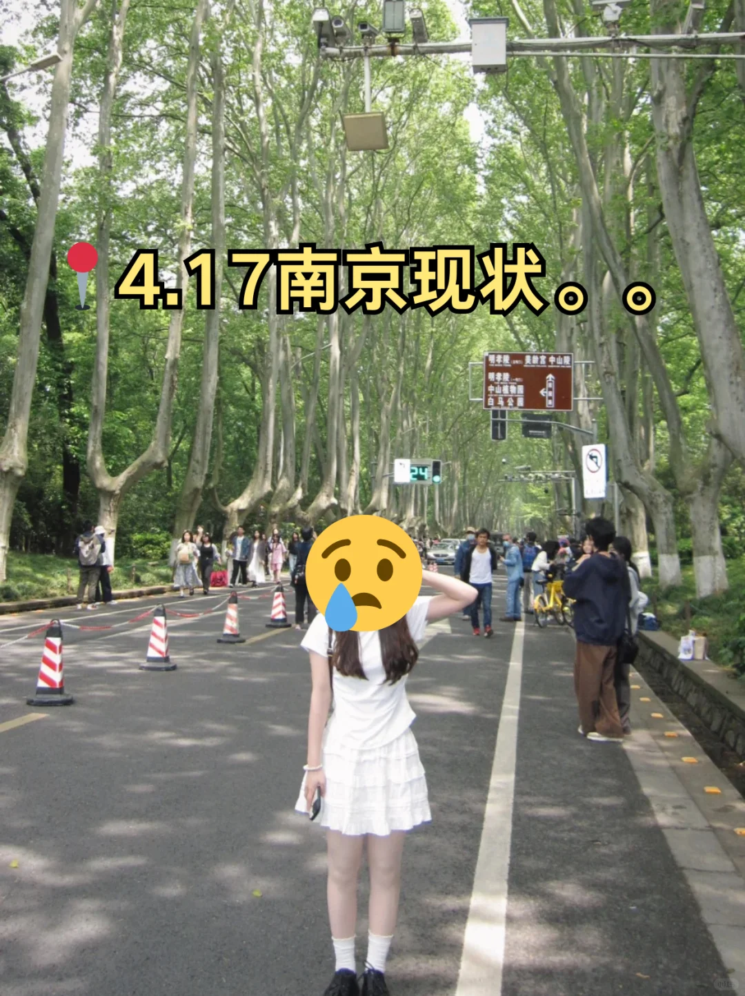 📍4.17南京已回。。😭我都崩溃了
