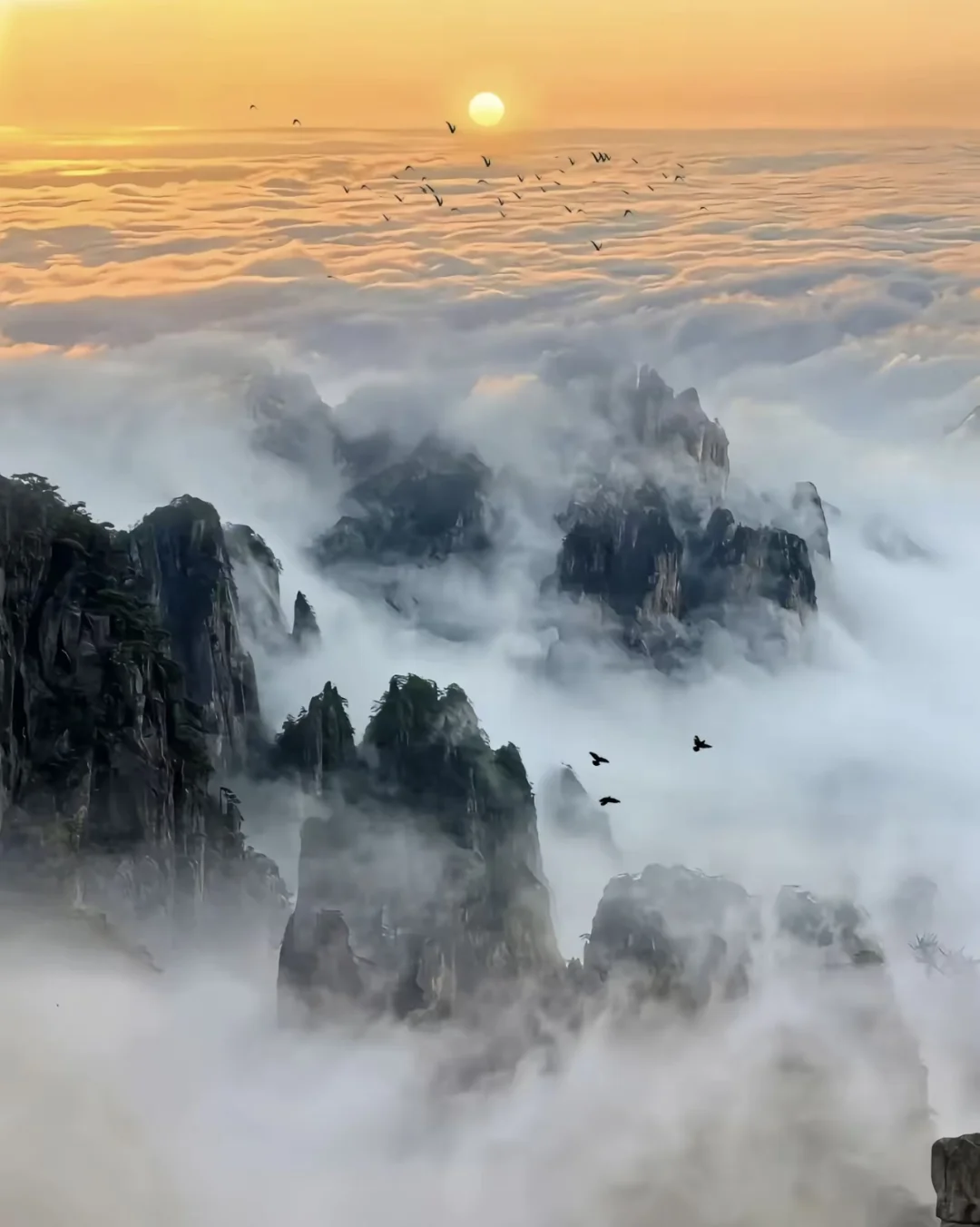 云端之上的绝美国风 此生必去的山河画卷⛰️