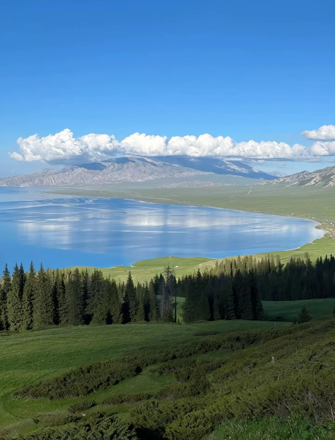 永远为山海着迷🌊