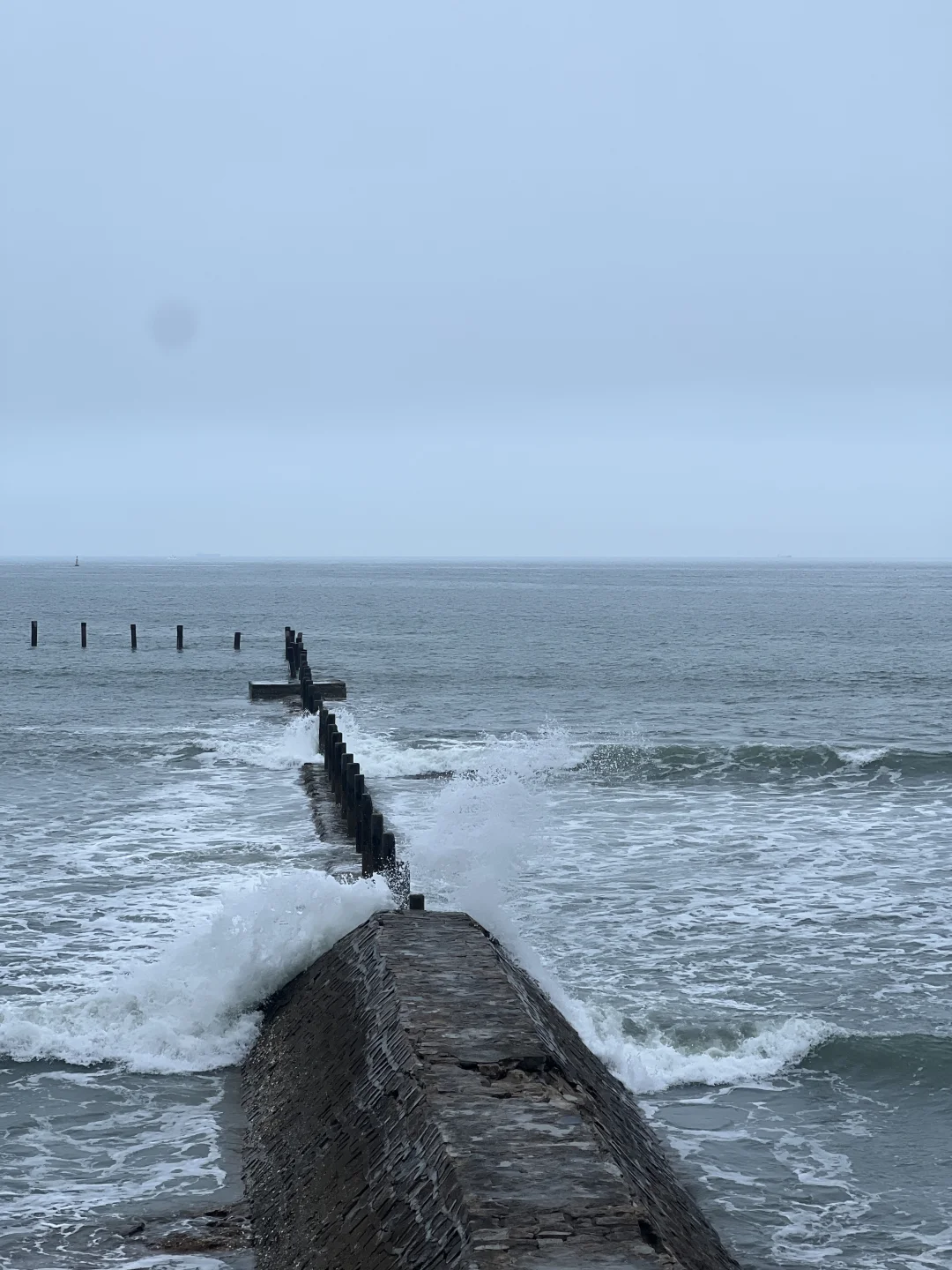 为了这❶❽张live图❗️我特意去了一趟青岛❗️