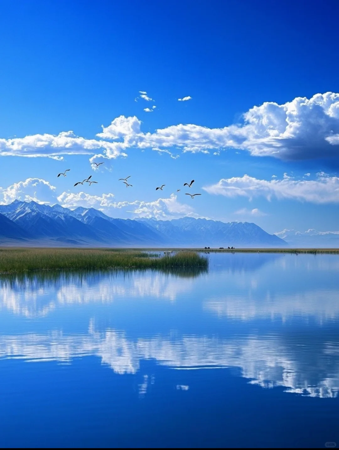 揭秘甘青大环线最美景点，超强度旅行攻略