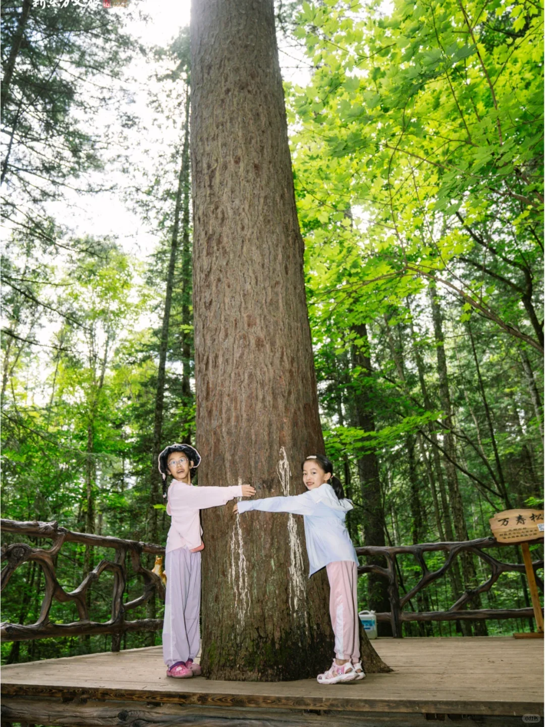 实话难听，但这就是伊春旅游真实现状。。。