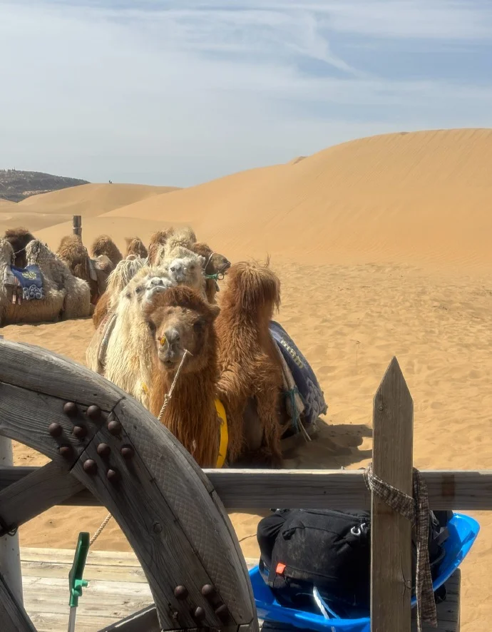 📍五一呼和浩特反向旅游，听我的❗❗