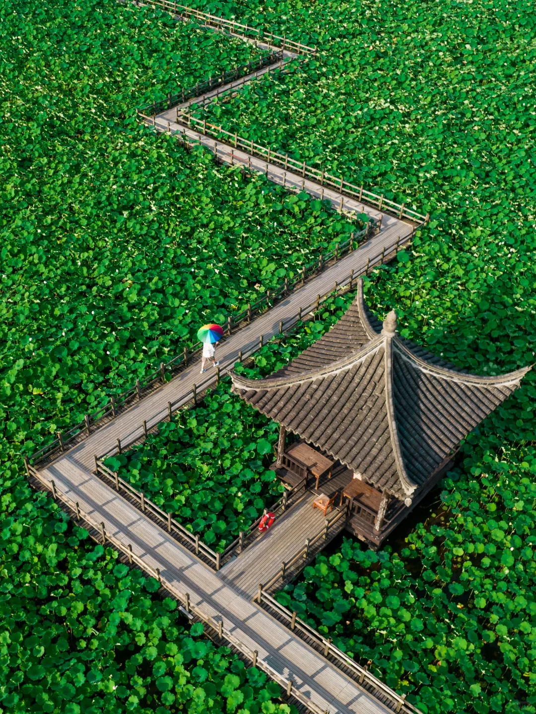 接下来的绍兴，就是苏轼笔下的“真江南”……