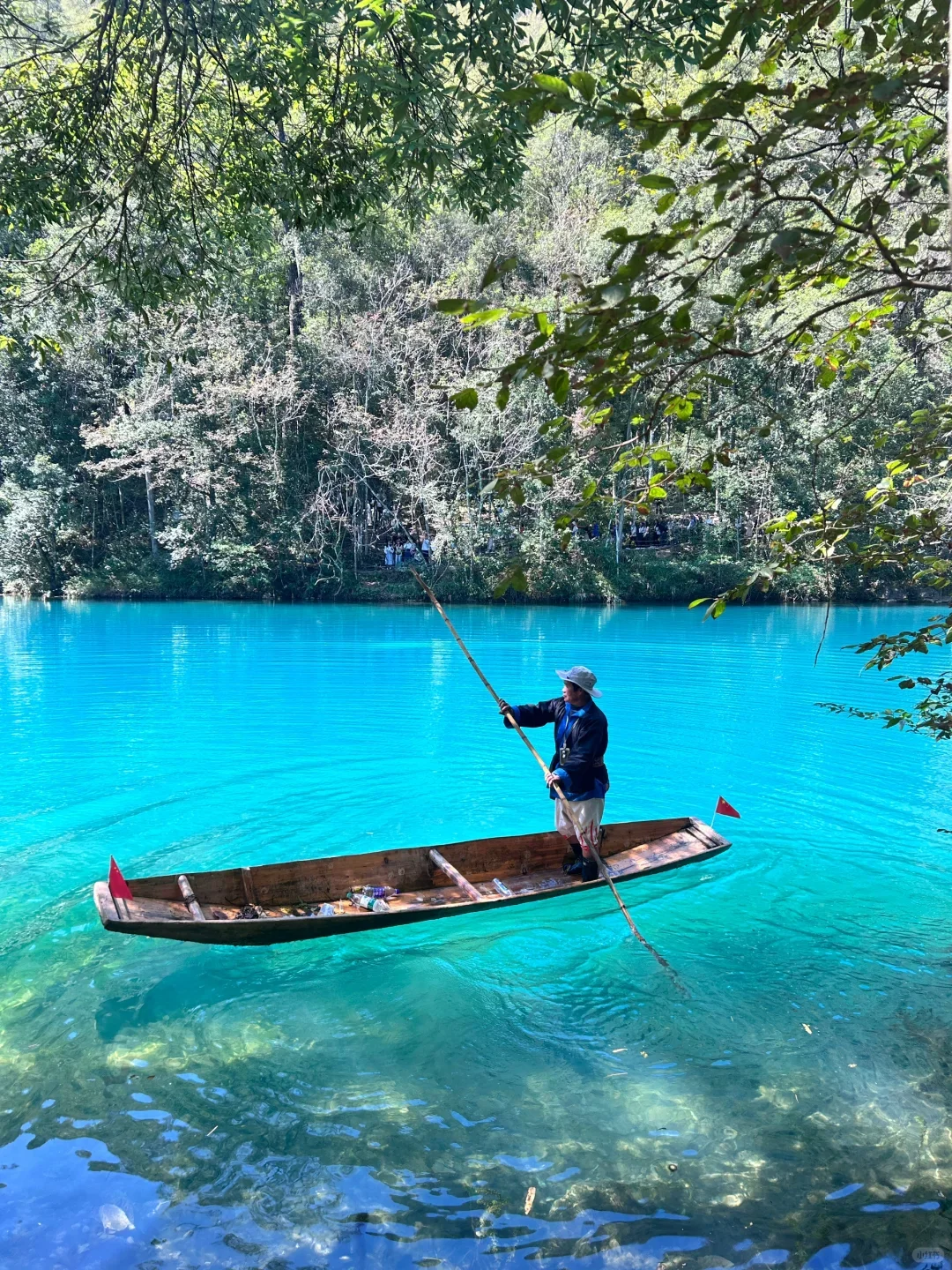 别再挤热门城市了，4月的贵州美到窒息！
