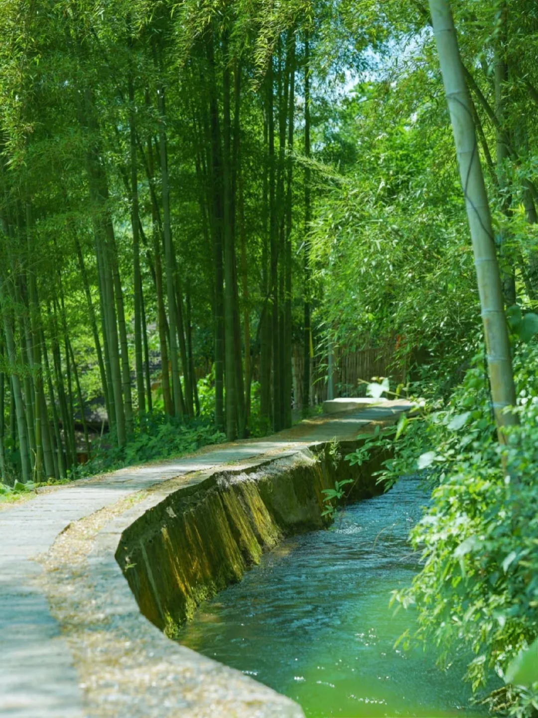 五一去哪玩❓我被这条徒步古道治愈了