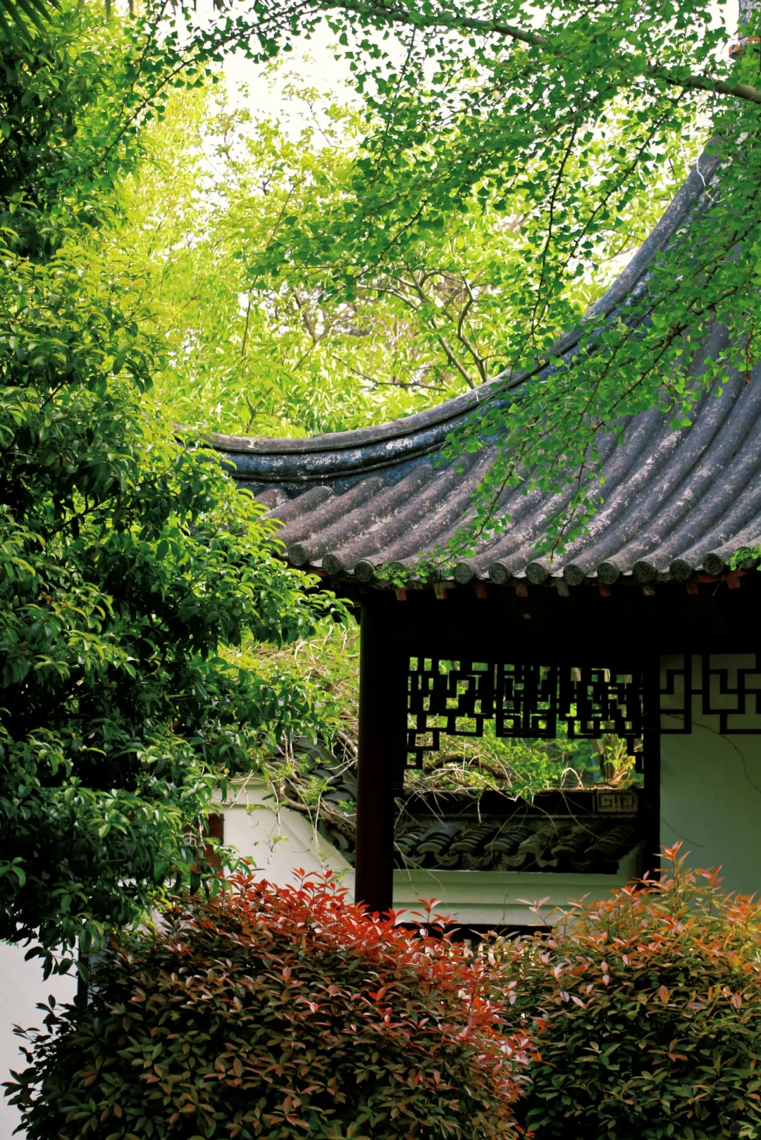 南京景点📍本地人也很少知道的小众园林