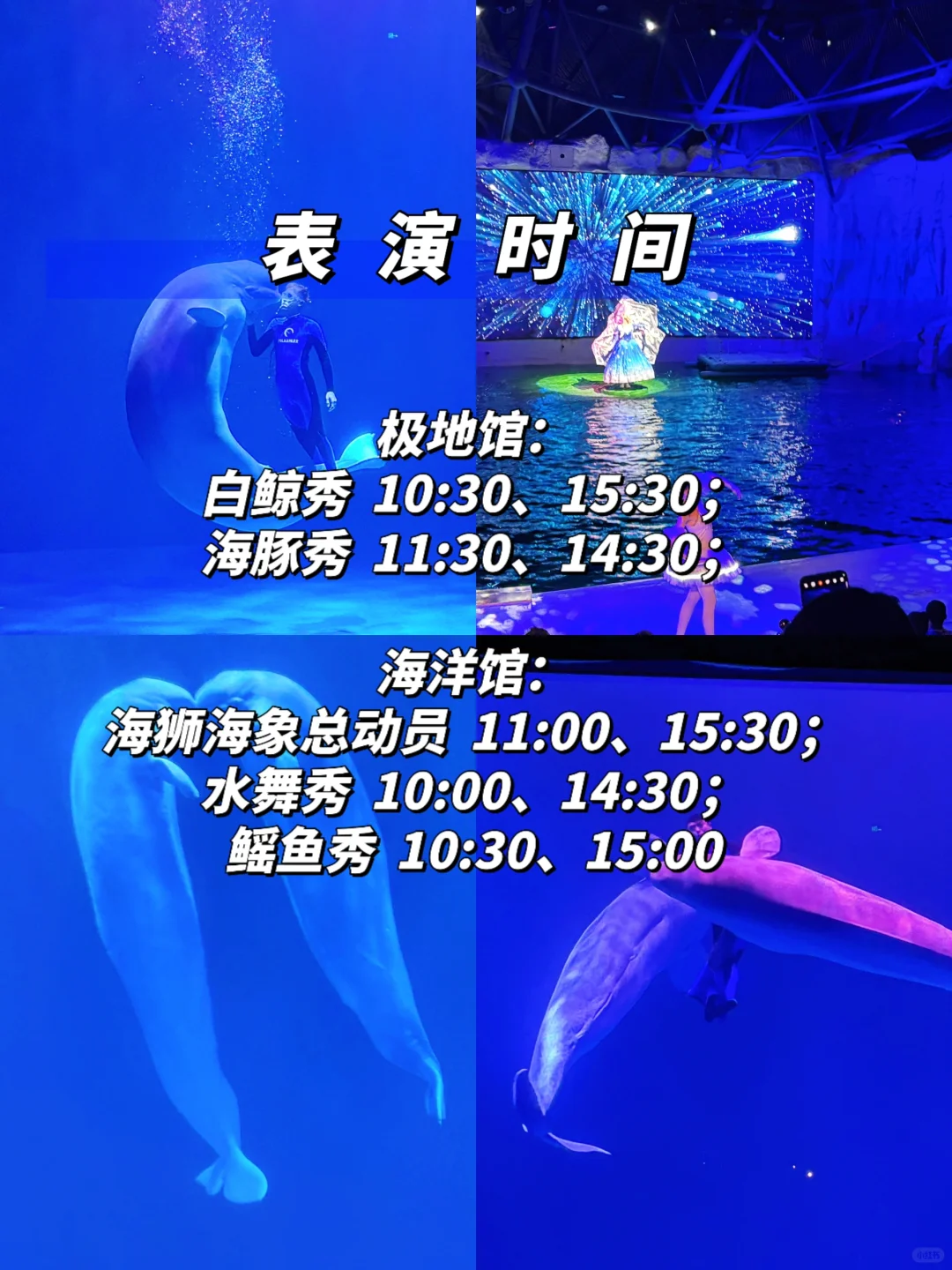 哈尔滨五一旅游✅3天2晚，看这篇就够了！