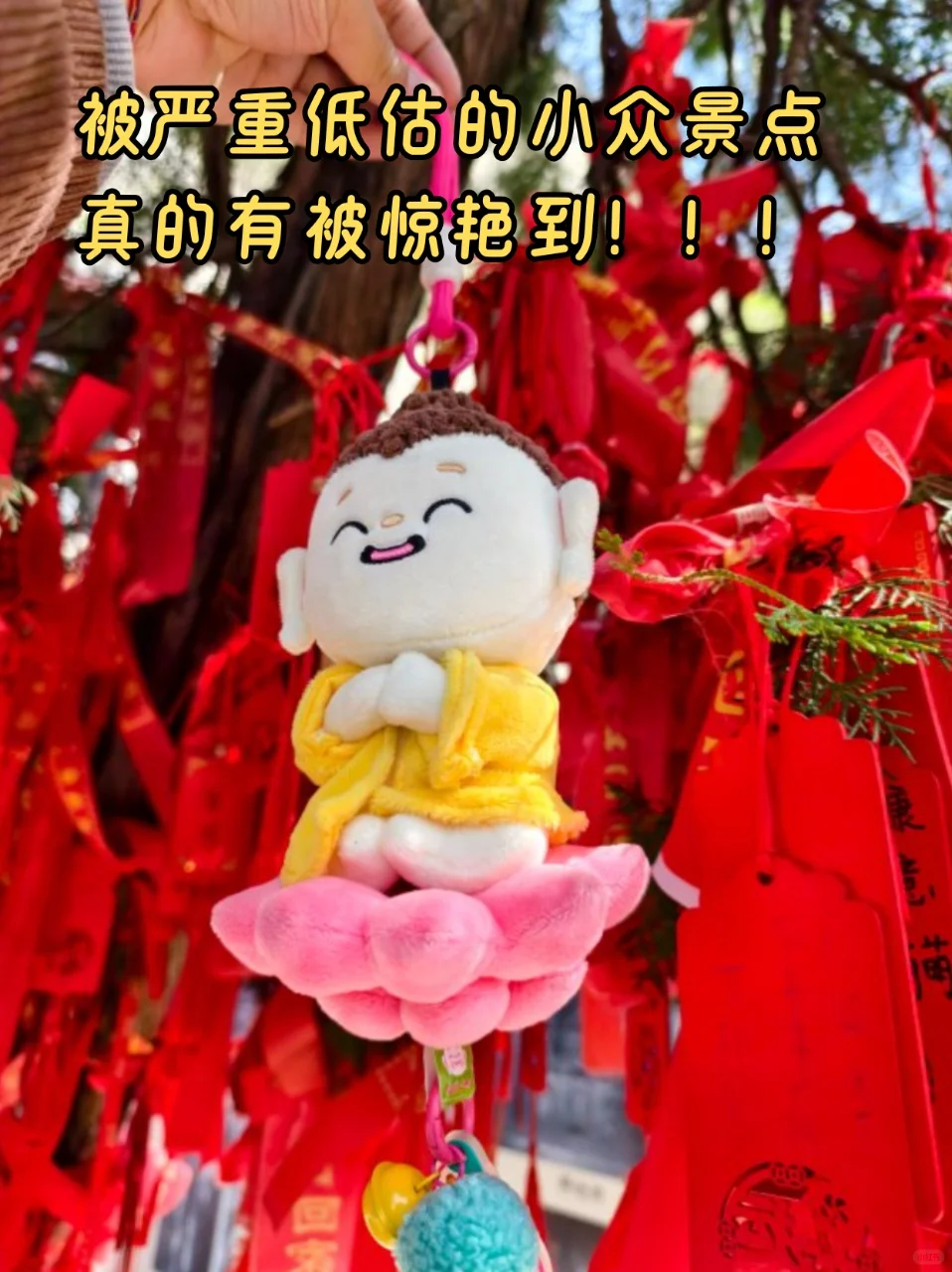 是谁还没发现这个小众景点！！