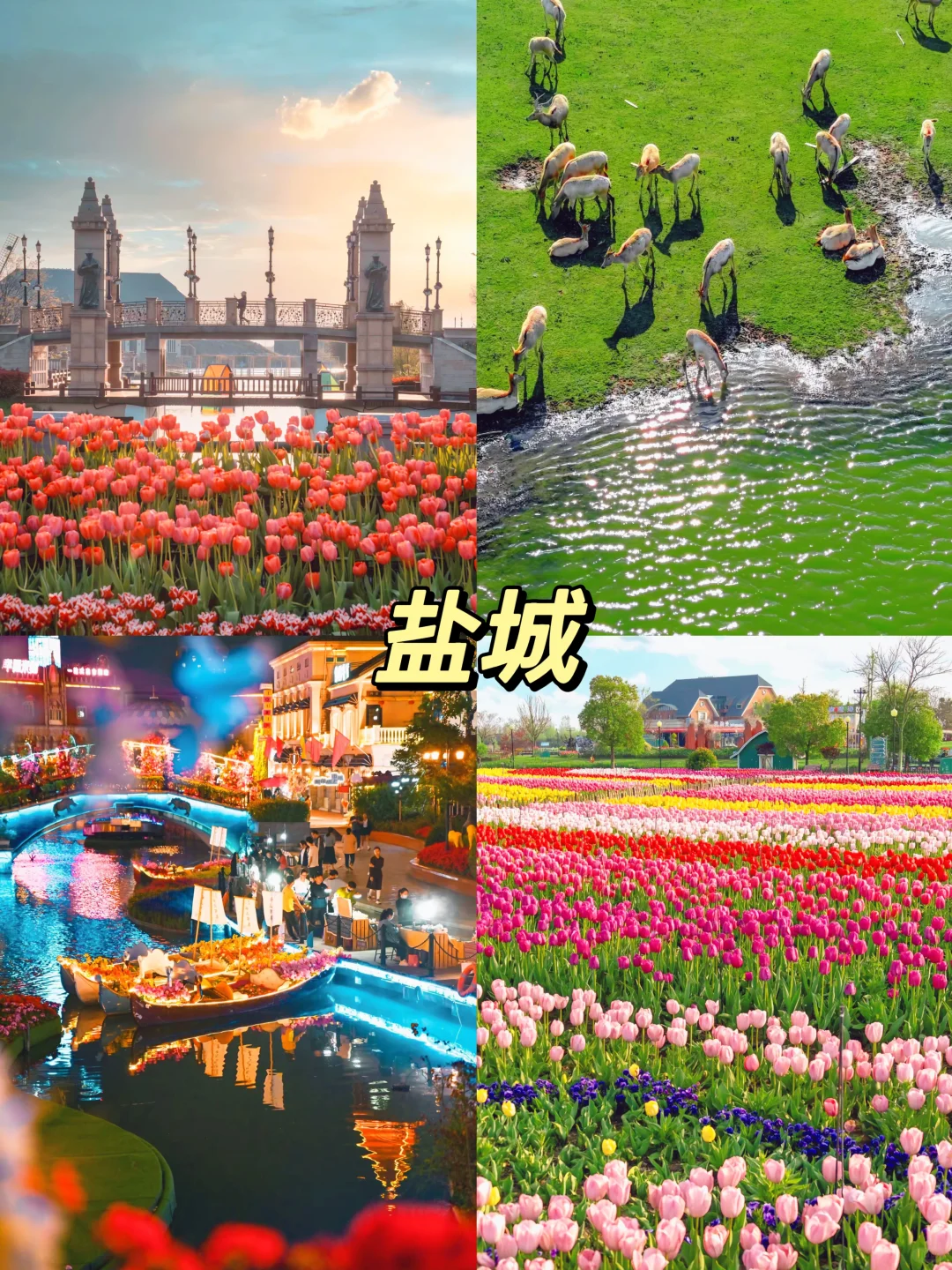 反向旅行天花板🔥五一必去9个冷门小城‼️