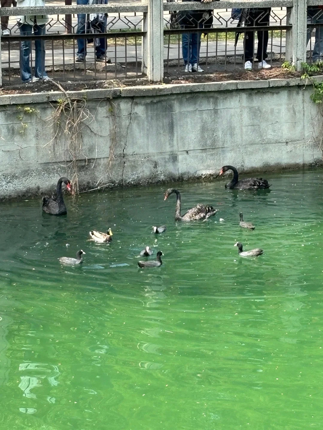 不敢贪便宜，给爷爷奶奶报到了靠谱北京团…