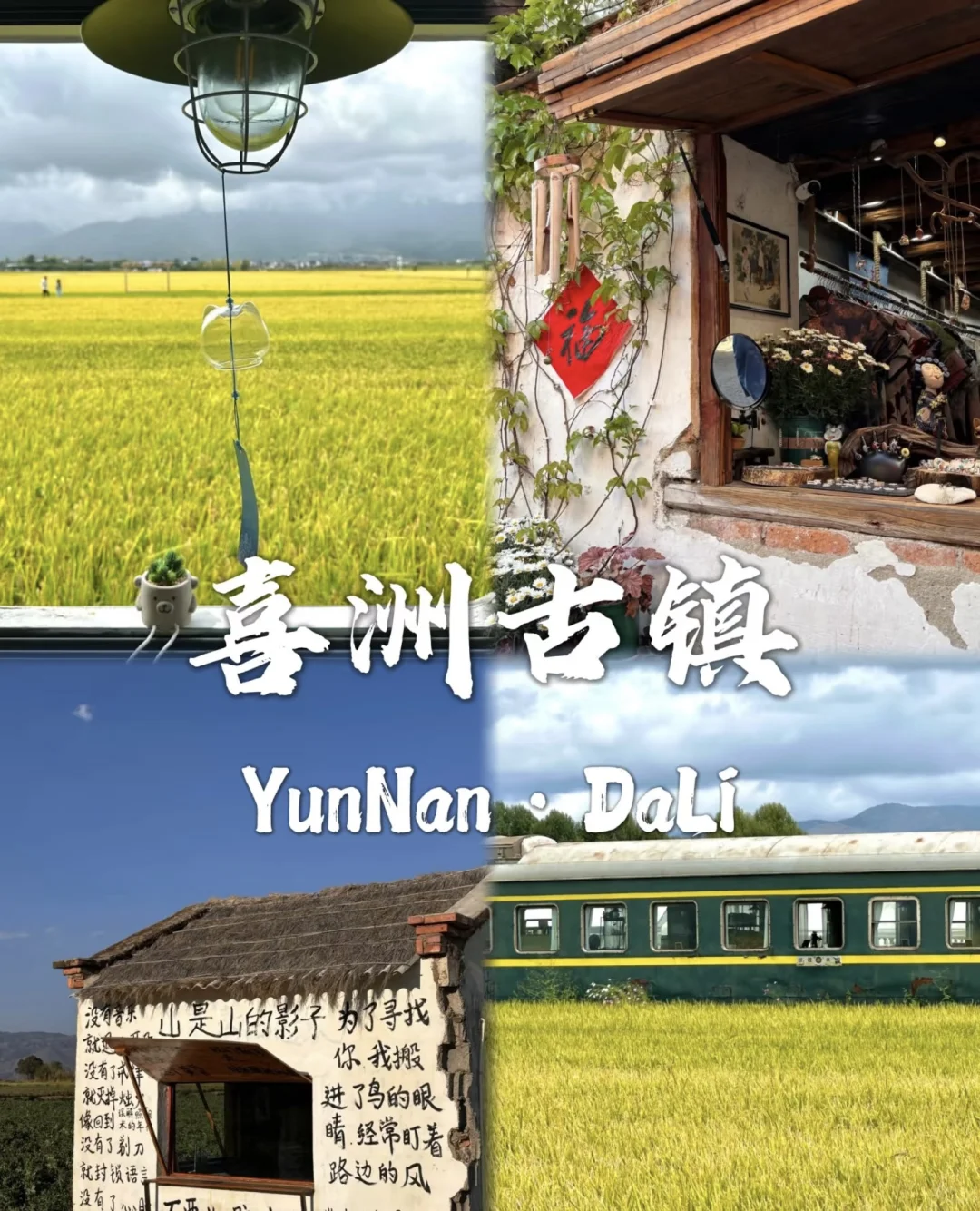 去过有风的地方大理洱海🌊