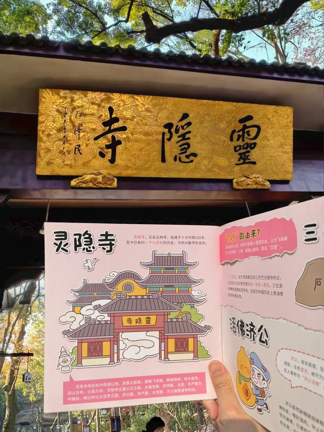 在西湖被追着问的研学手册，孩子太喜欢了❗️