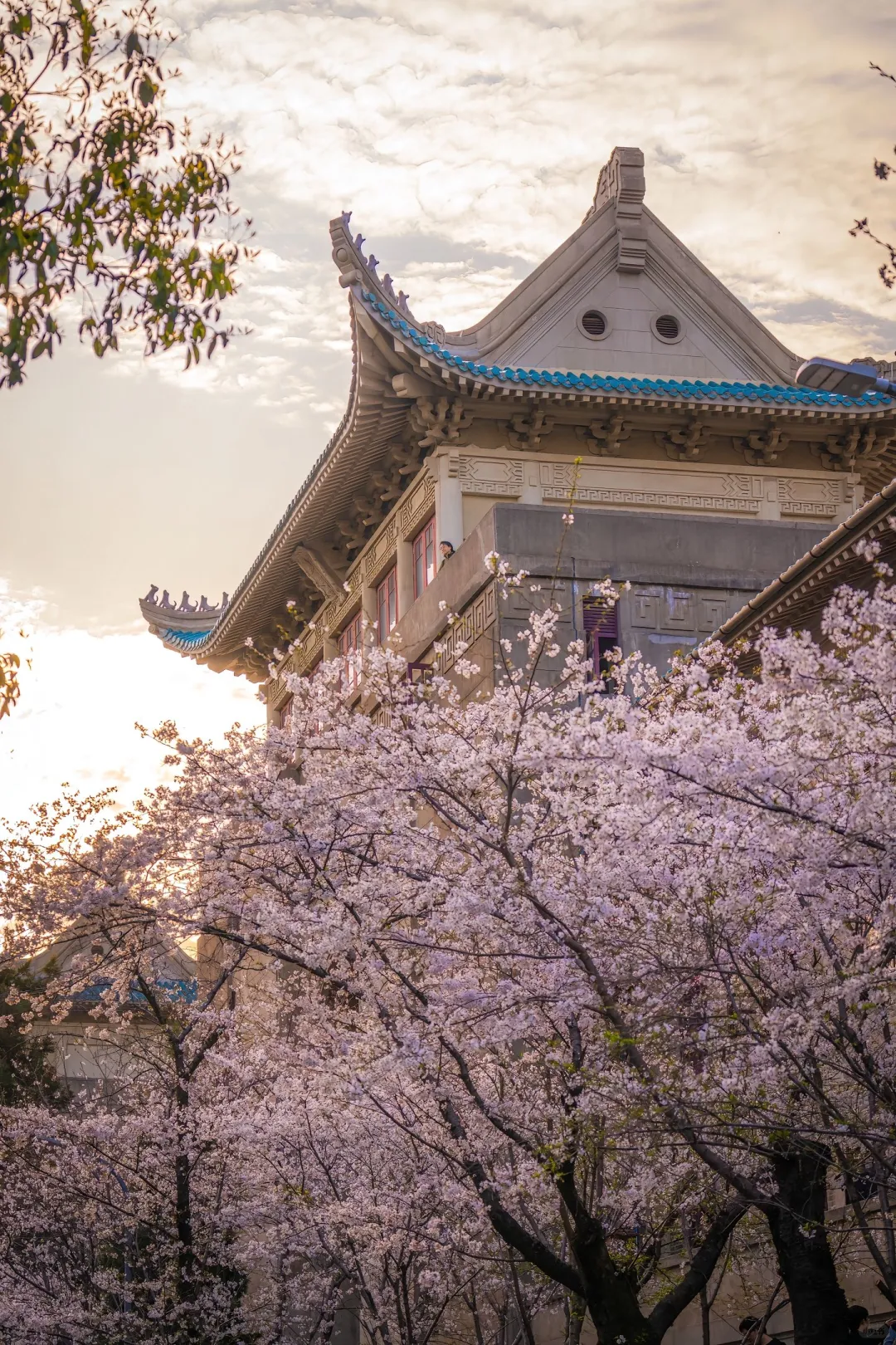 💖武汉，一场浪漫的邂逅之旅✨