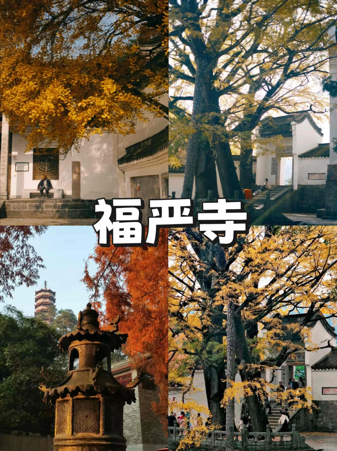 三月下江南，赴约苏杭邂逅诗意