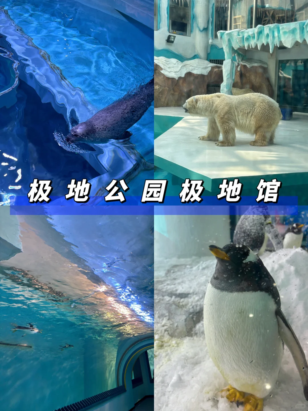 哈尔滨五一旅游✅3天2晚，看这篇就够了！