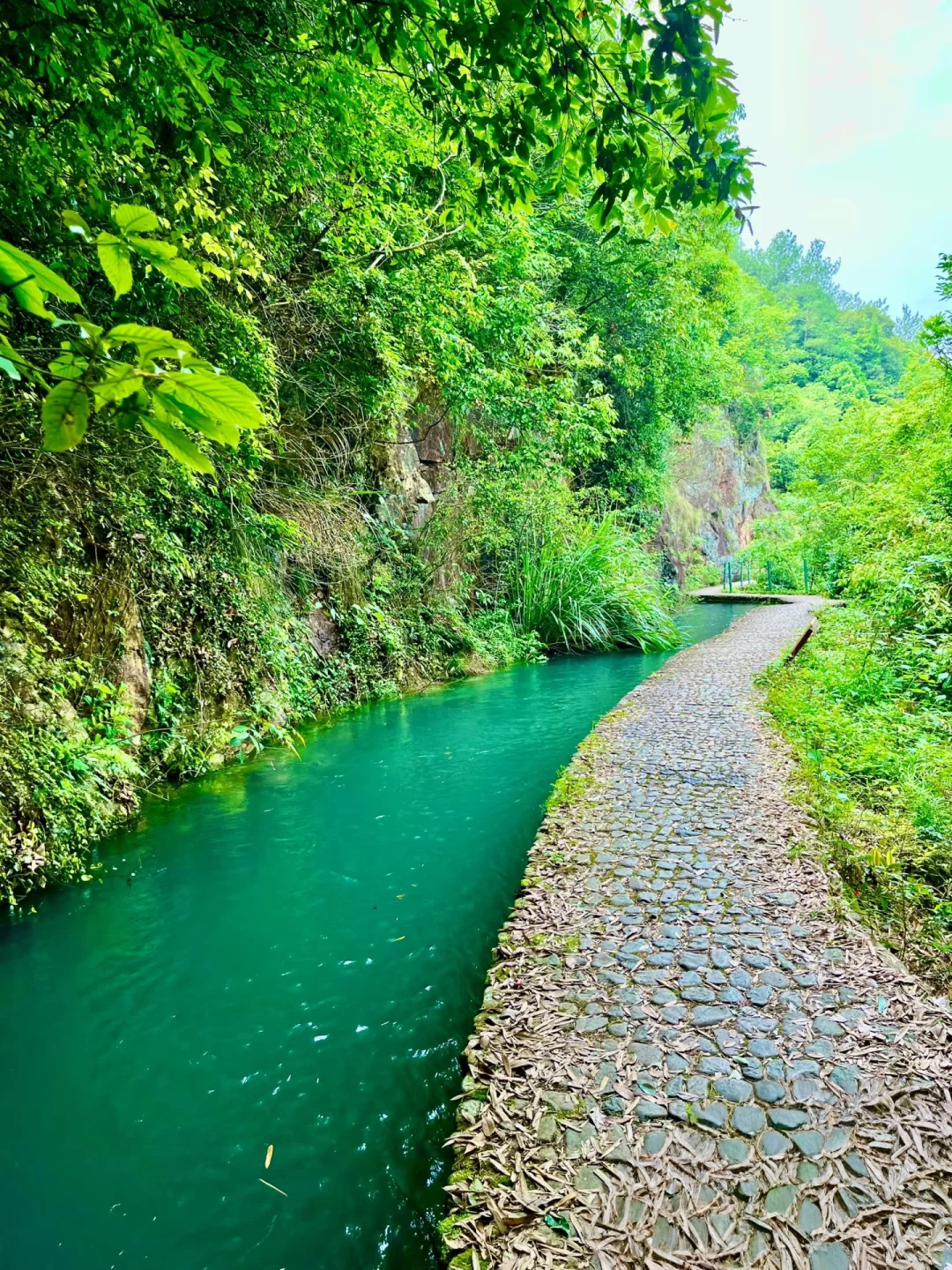 五一去哪玩❓我被这条徒步古道治愈了