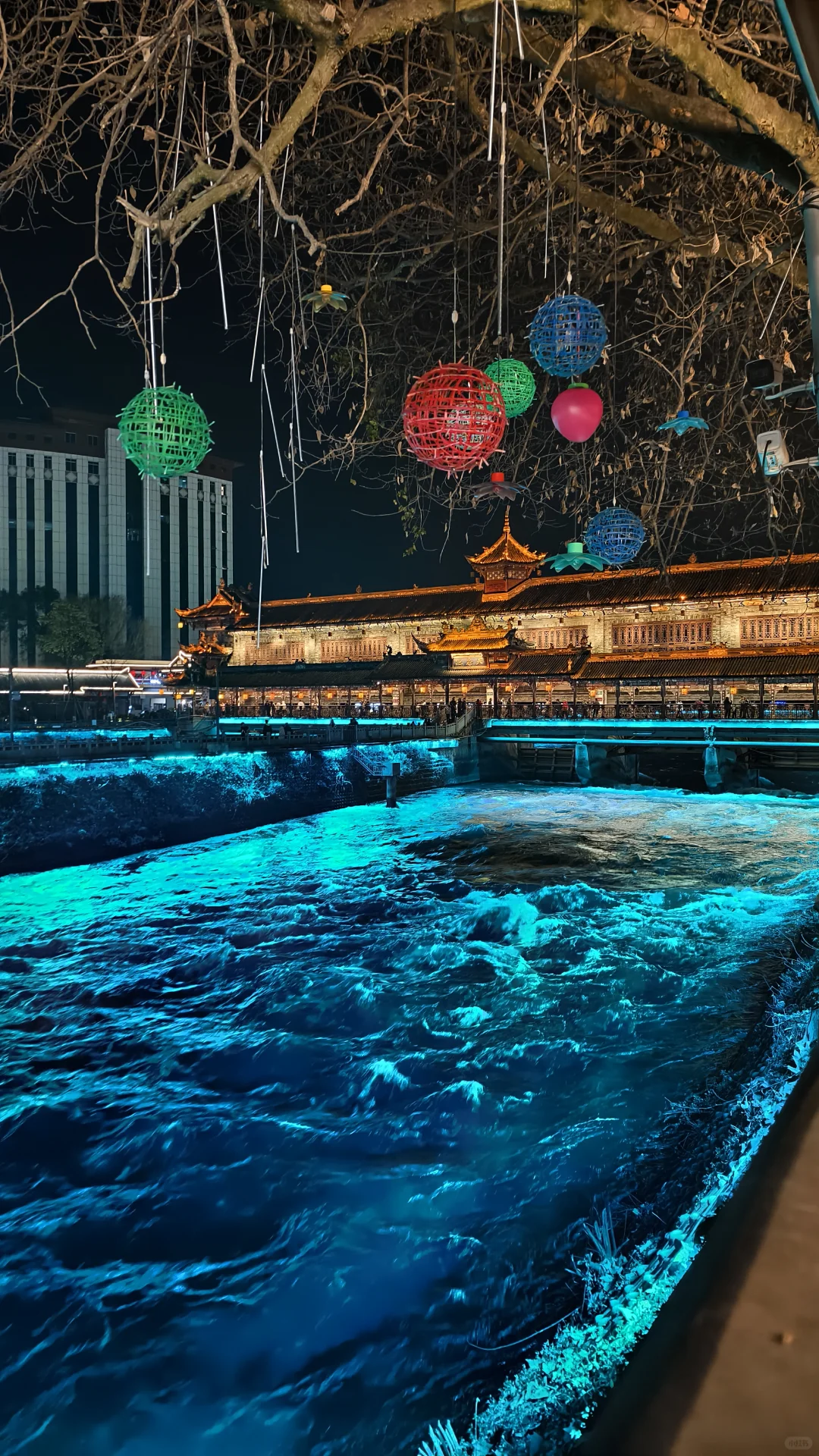 你最想带谁去成都