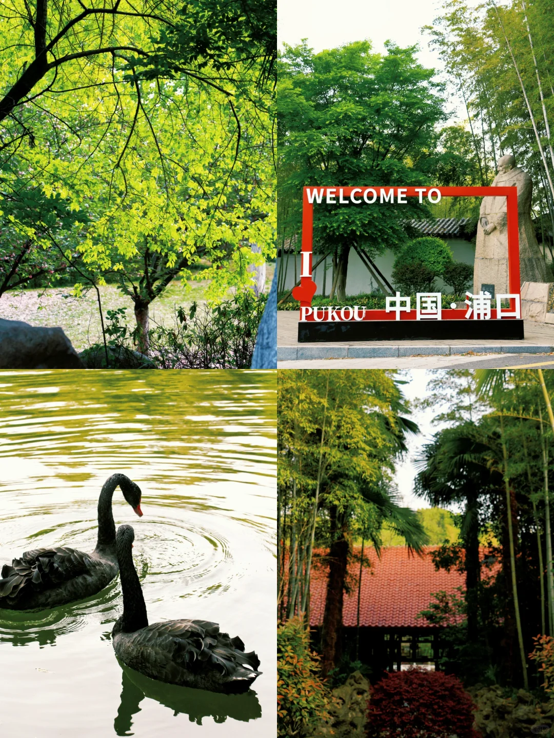 南京景点📍本地人也很少知道的小众园林