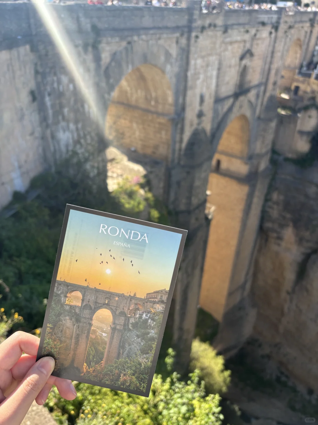 圣周历险记：当旅途按下暂停键