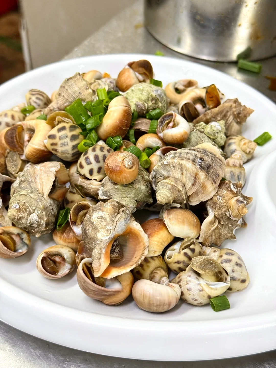 五一要来舟山旅游的朋友！！能劝一个是一个。。