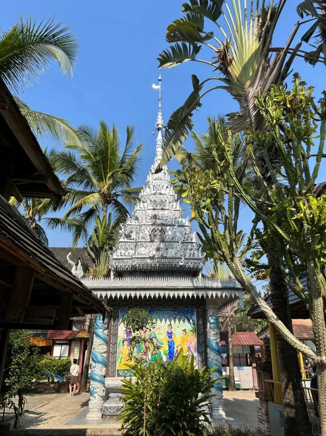 五一去版纳懒人旅游攻略，直接抄作业