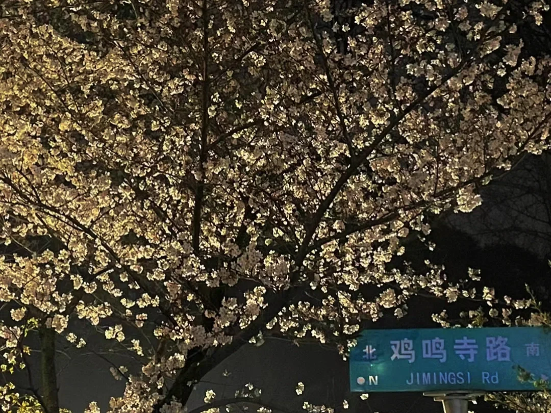 3月的南京😜这些赏花点绝绝子！🌸