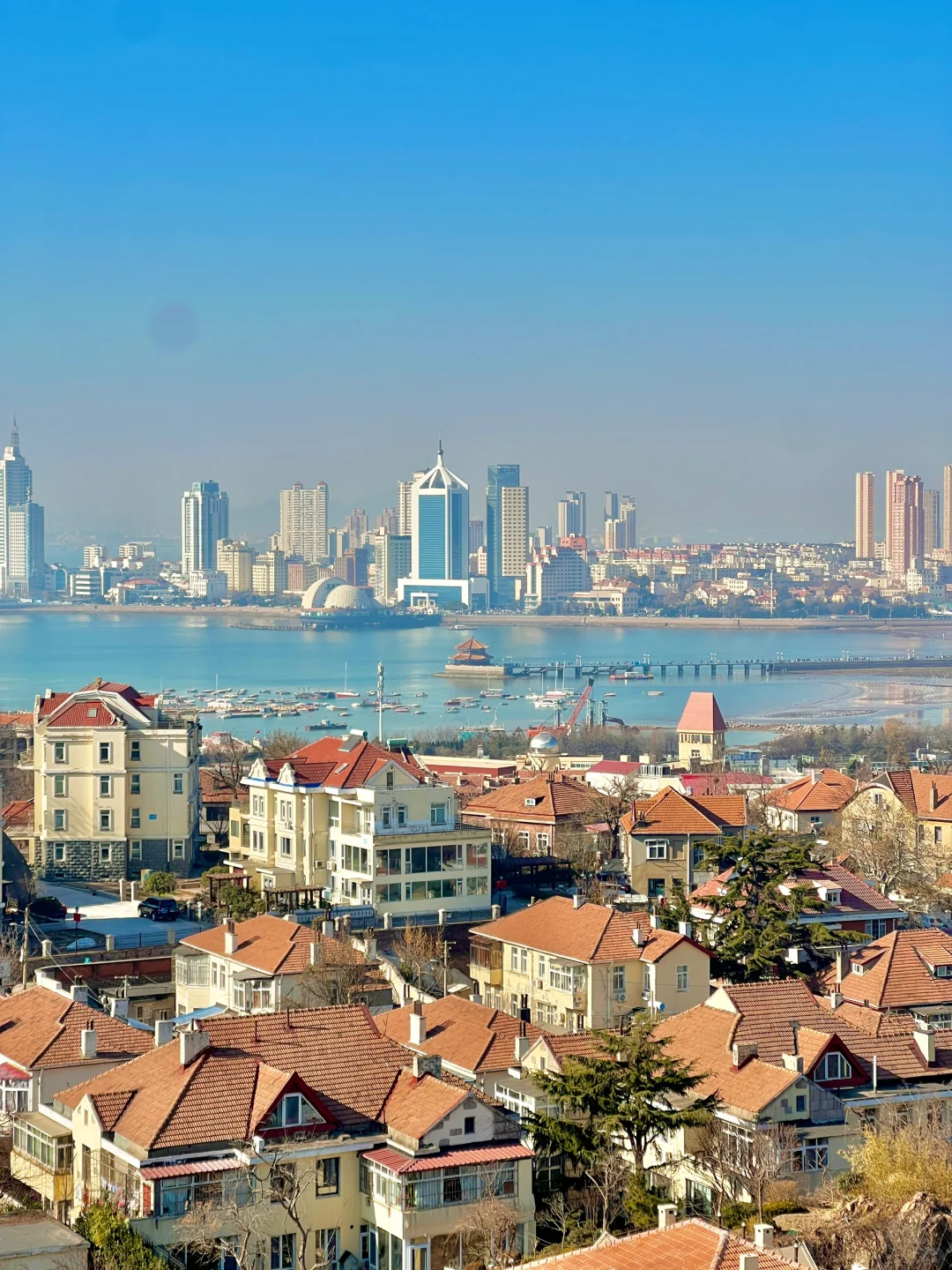 为了这❶❽张live图❗️我特意去了一趟青岛❗️