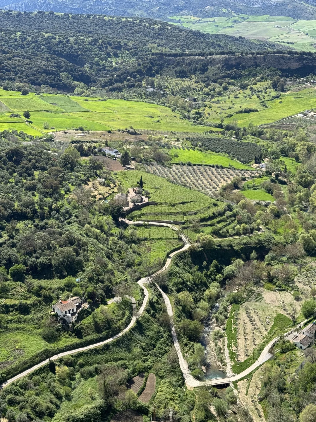 圣周历险记：当旅途按下暂停键