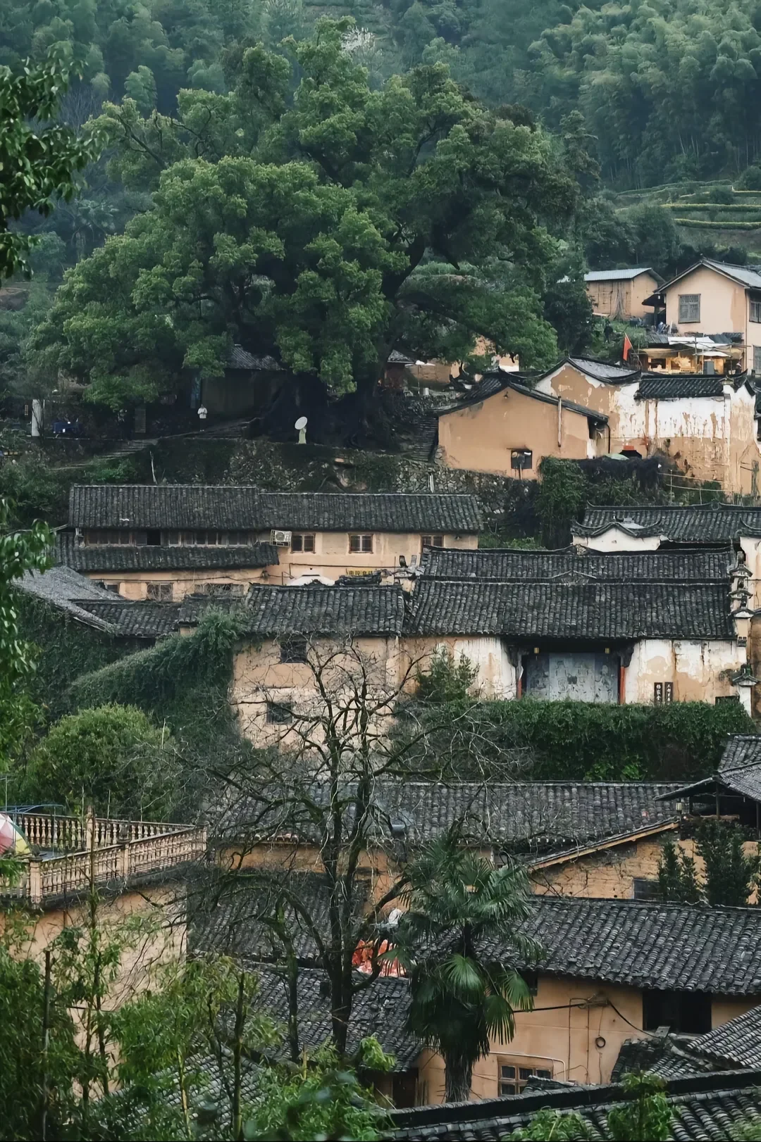 五一反向旅游爆款推荐｜五个冷门神仙城市！