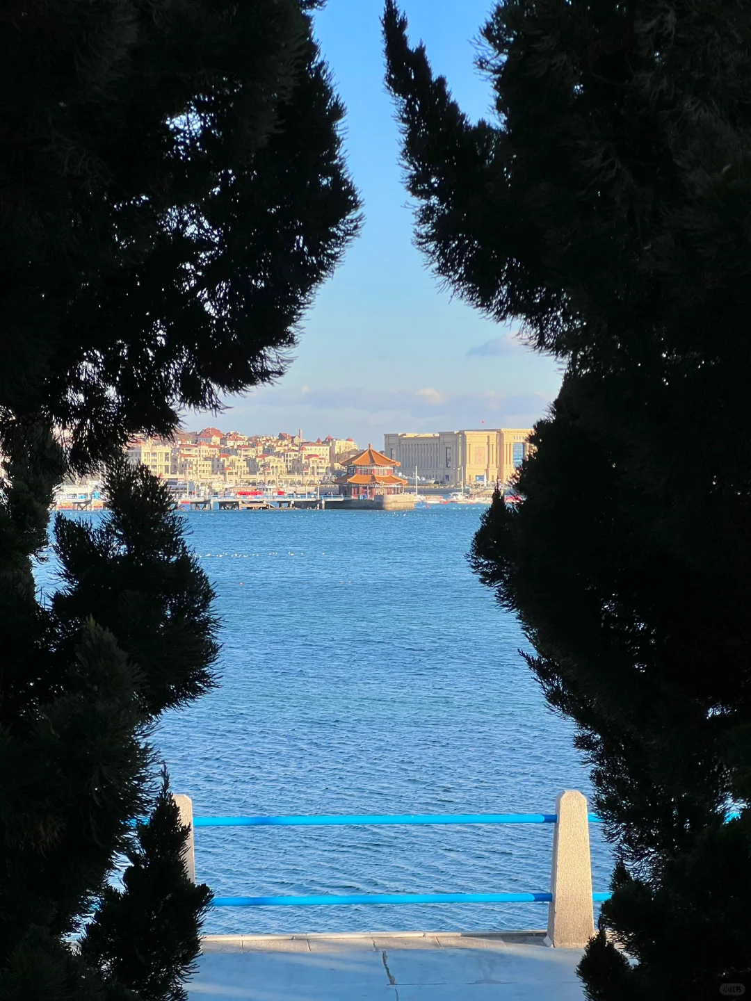 为了这❶❽张live图❗️我特意去了一趟青岛❗️