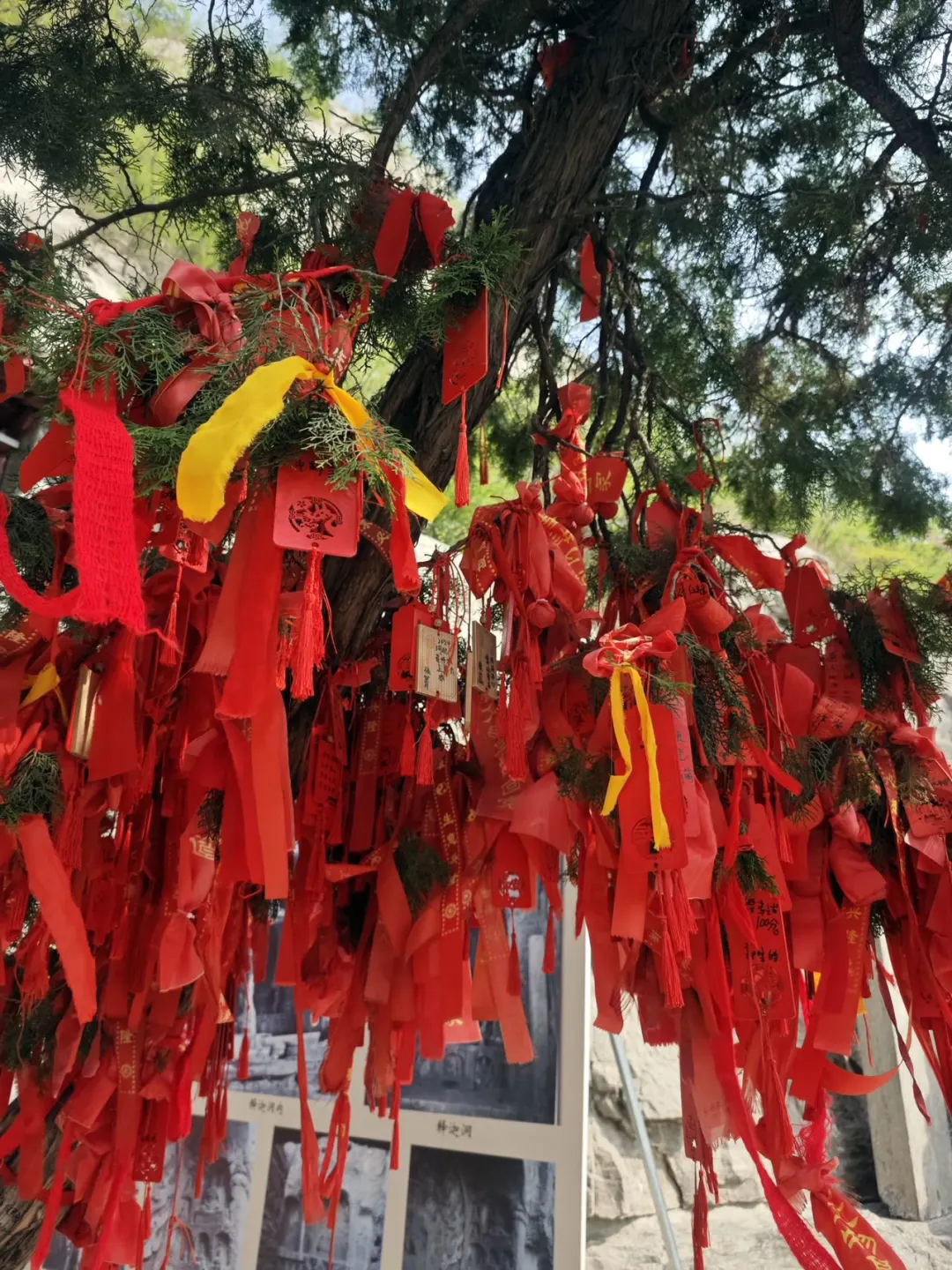 邯郸值得打卡的景点｜旅游前必看