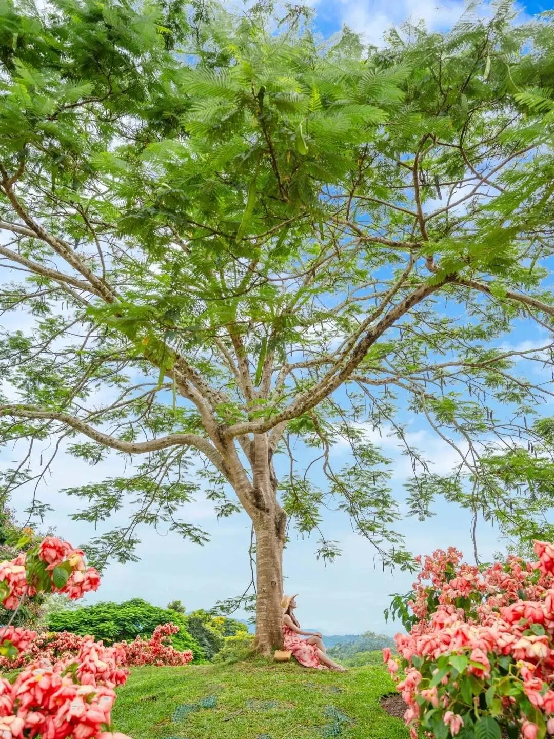 📍西双版纳｜西双版纳必去 9 大景点👍