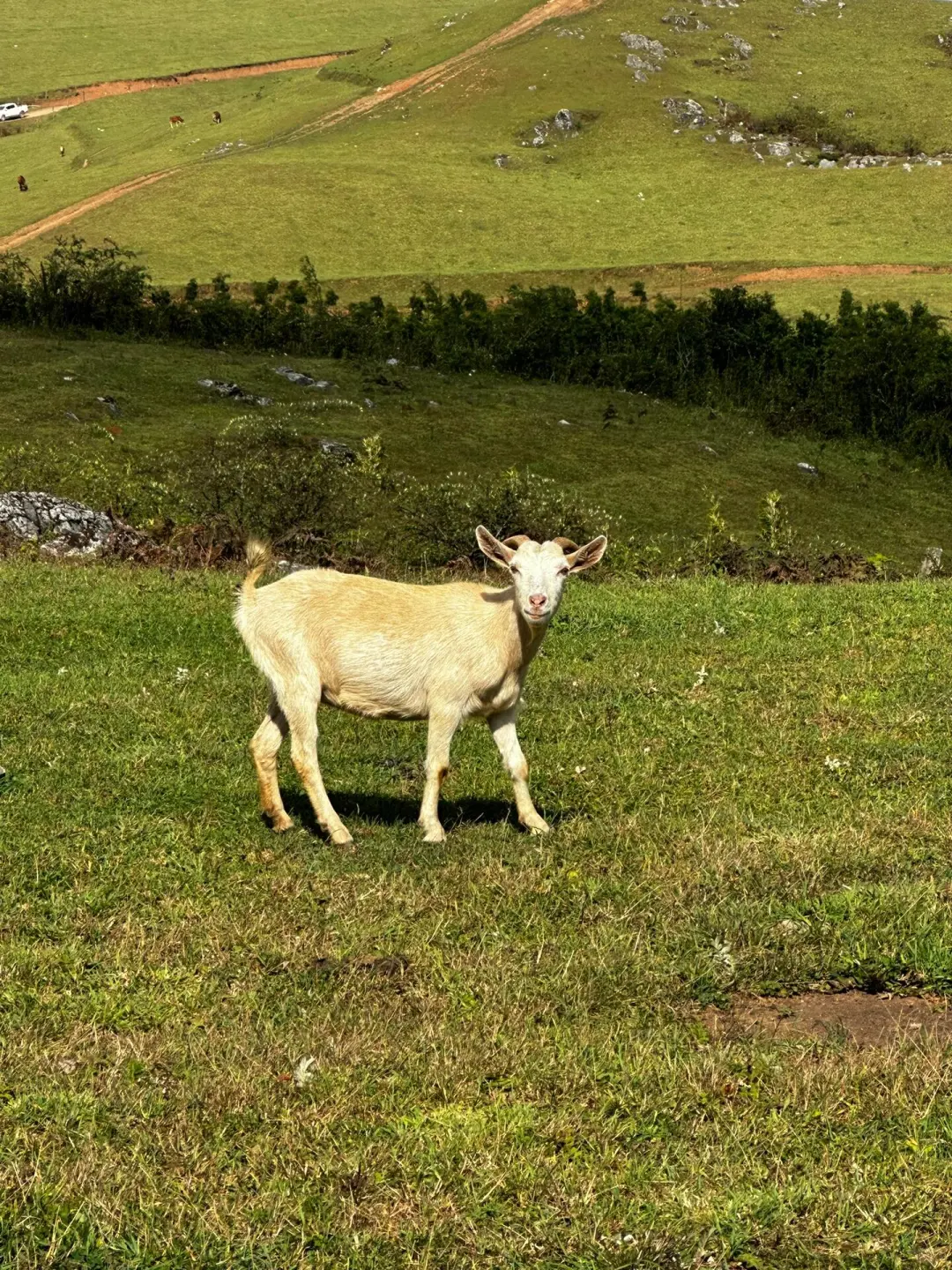 北京周边游📍带你看内蒙古小新西兰