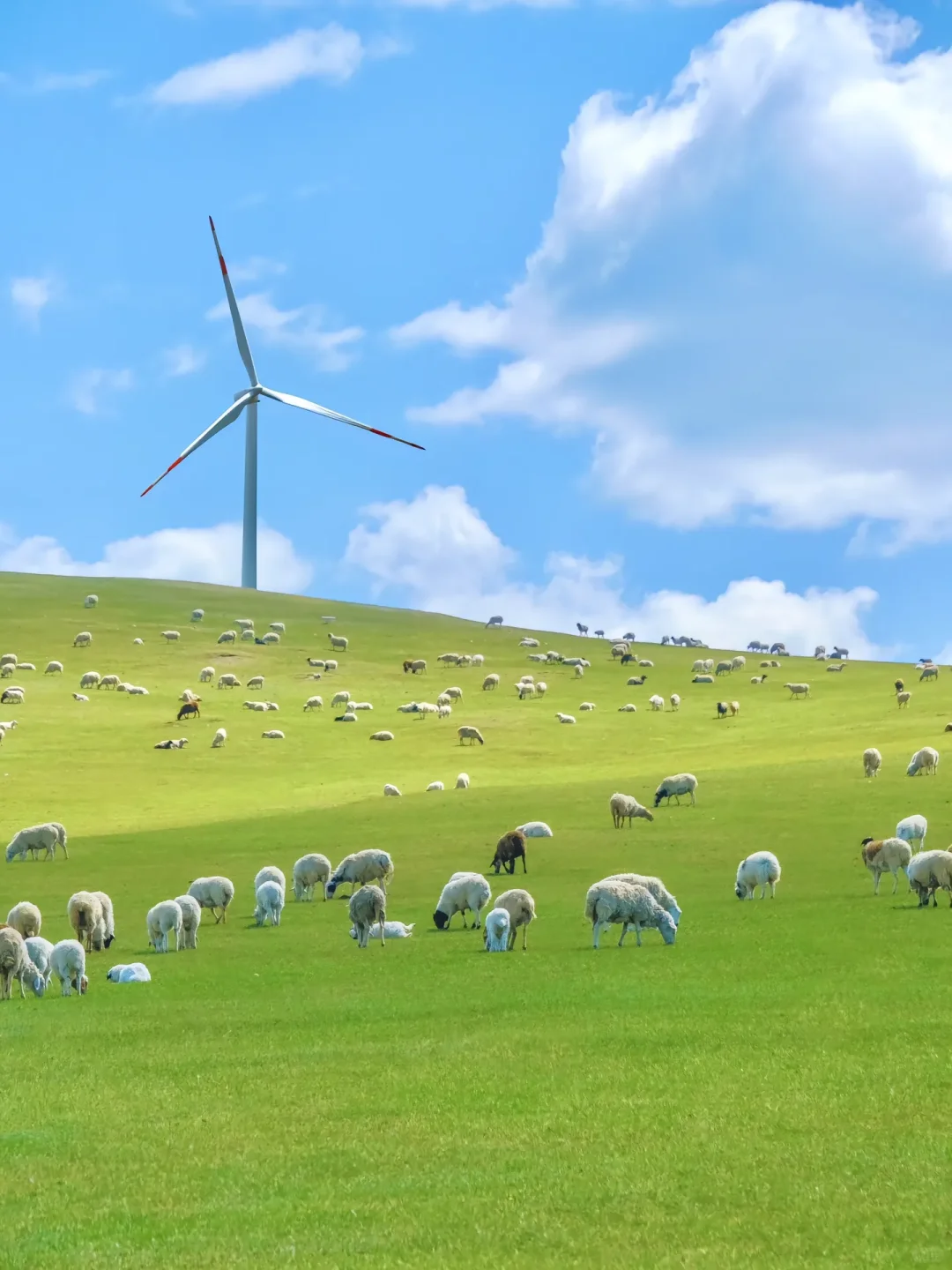 五一反向旅游爆款推荐｜五个冷门神仙城市！