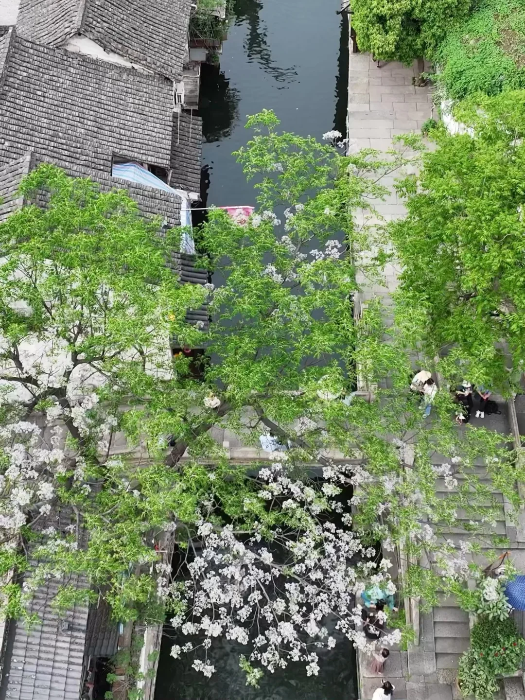 绍兴刚回，6大景点真实测评+避坑